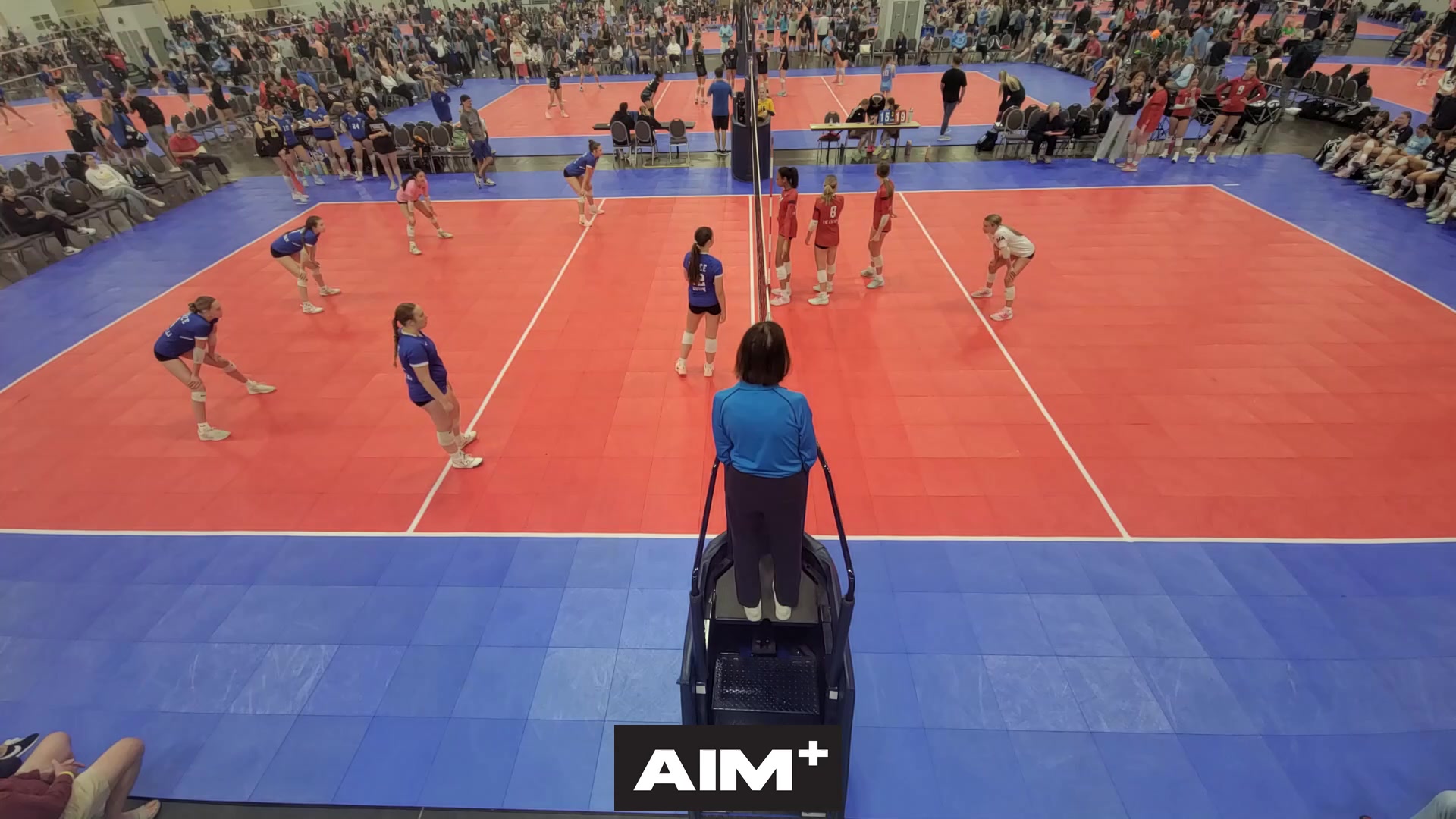 dig