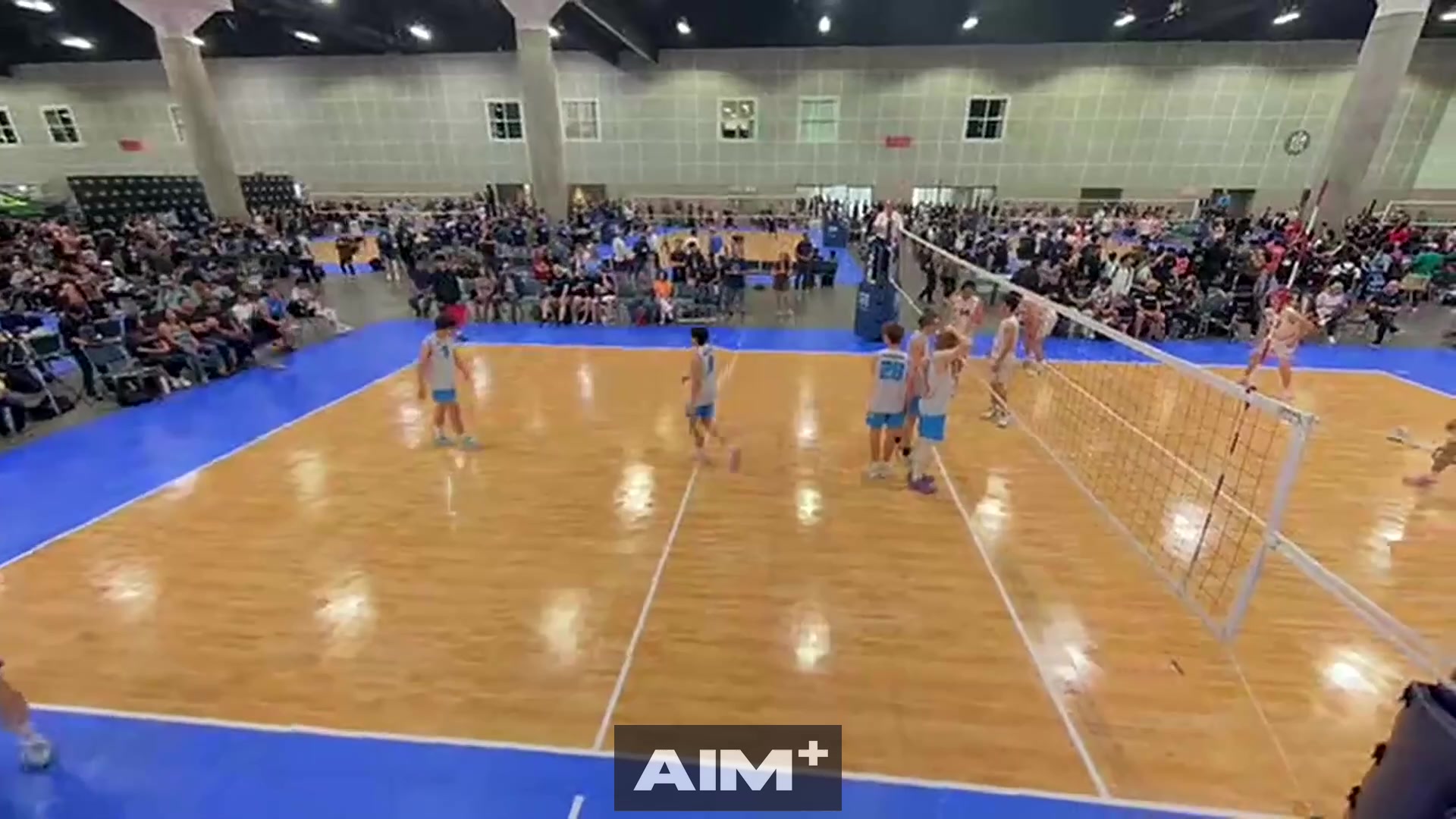 assist