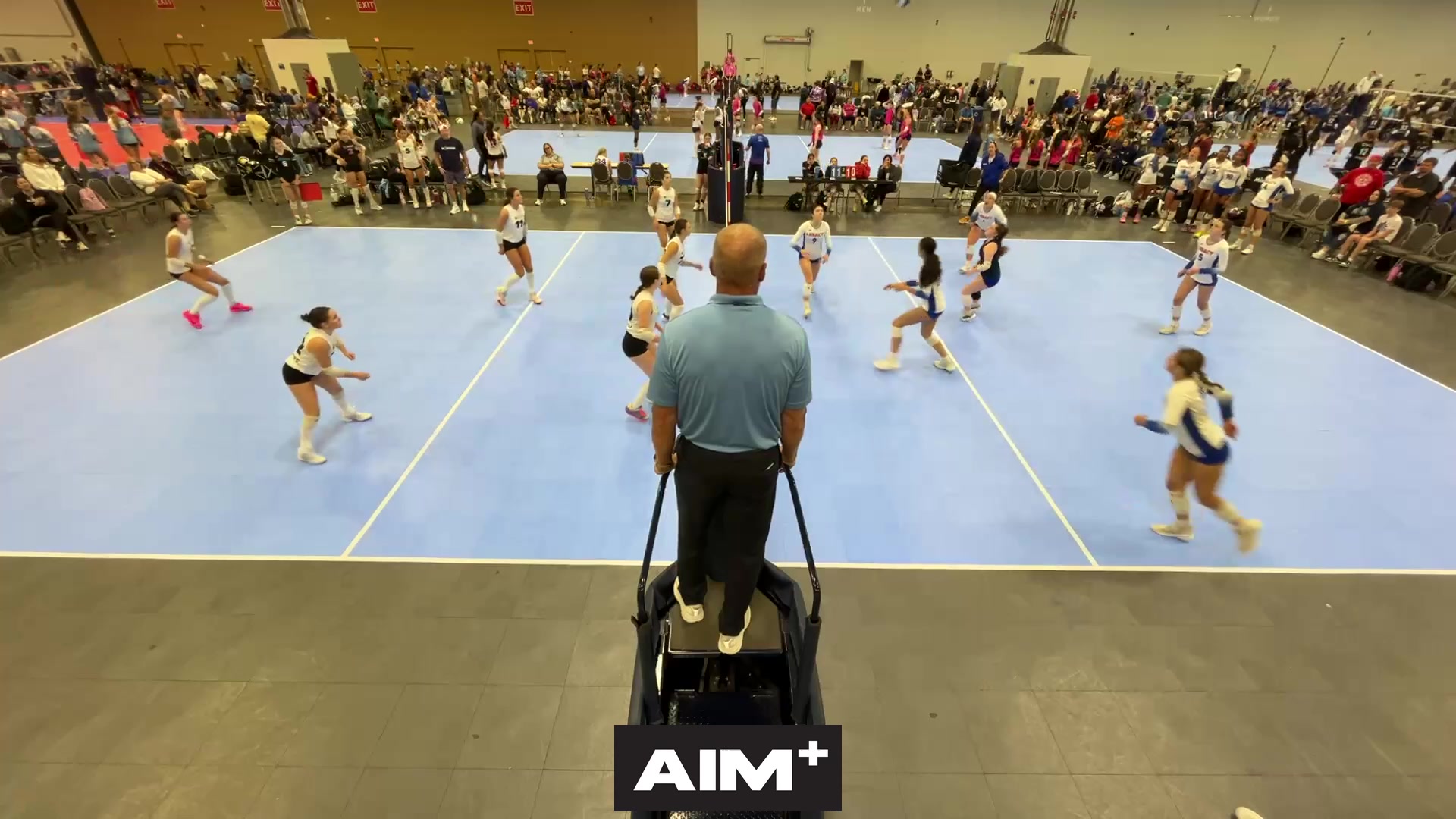 assist