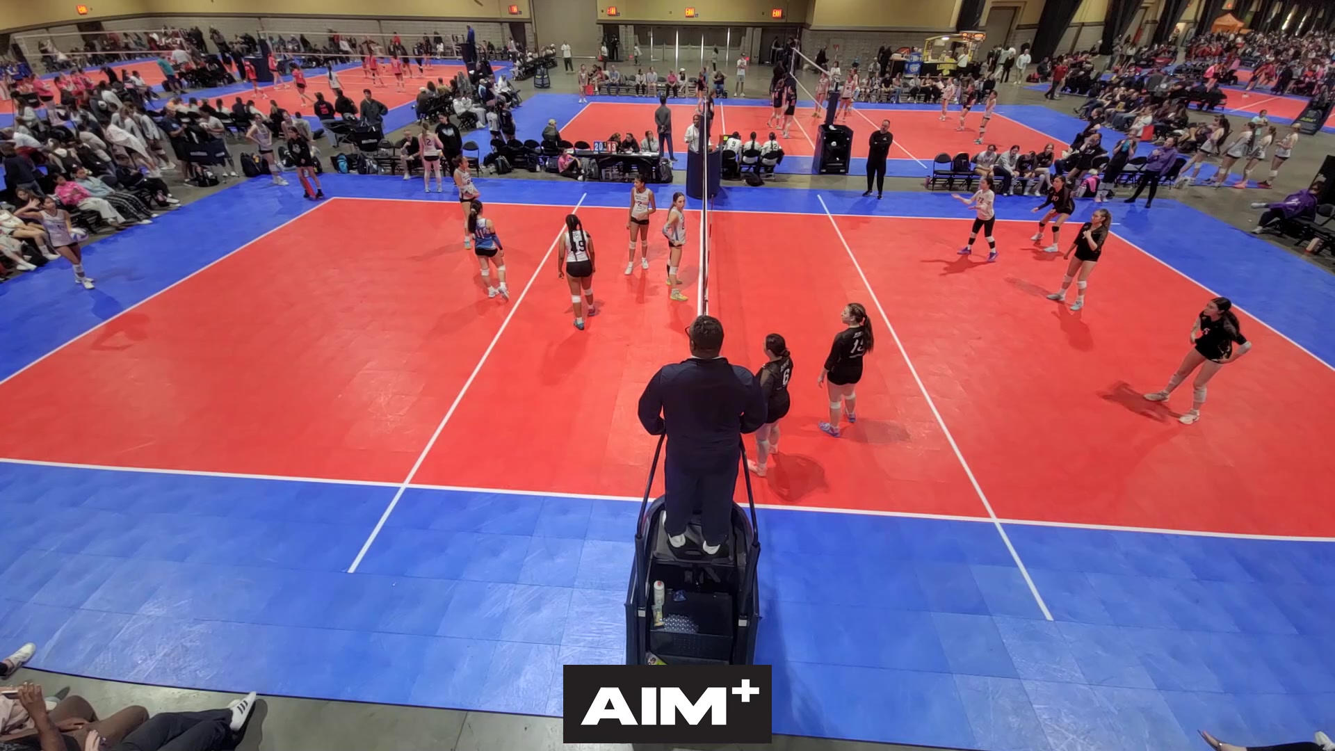 dig