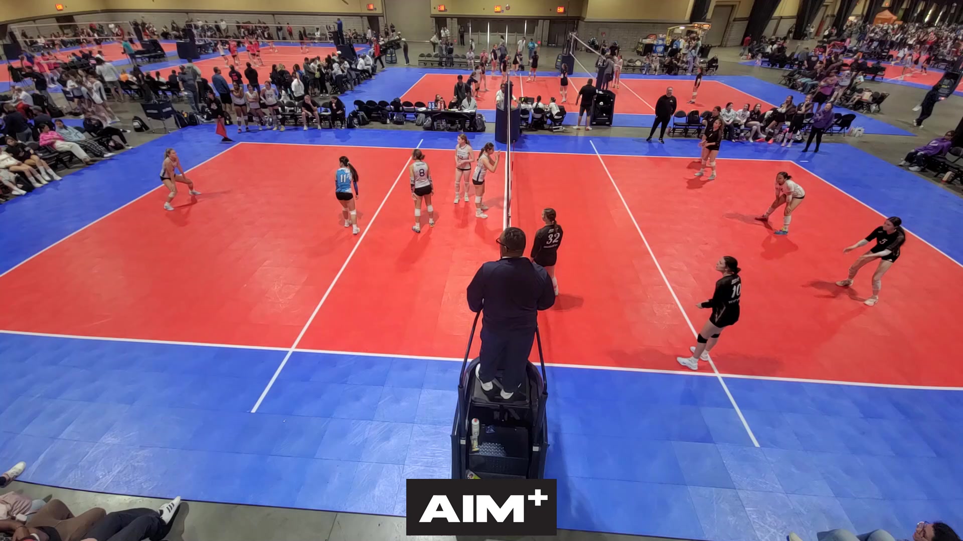 dig