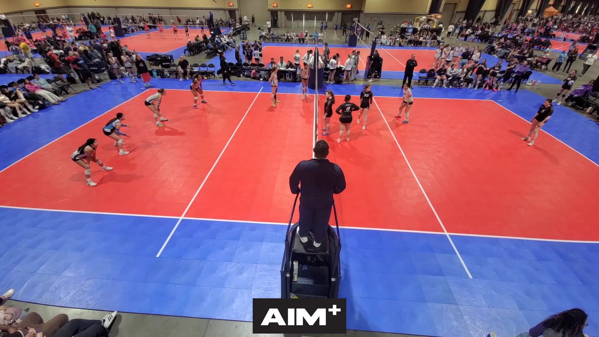 dig