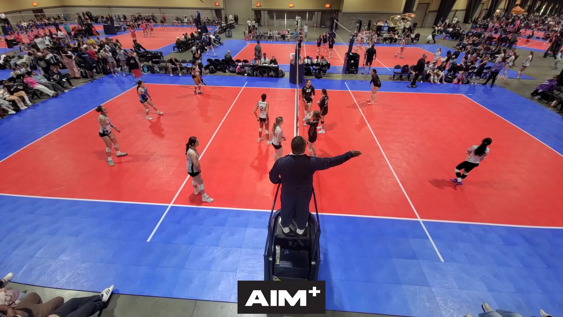dig
