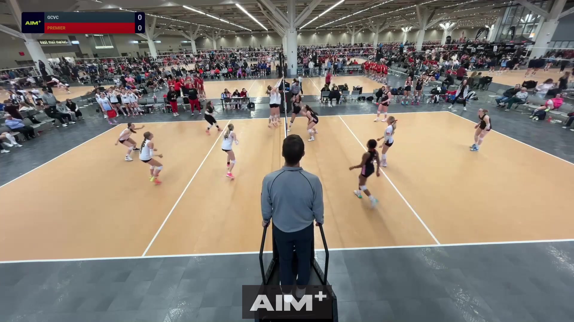 assist