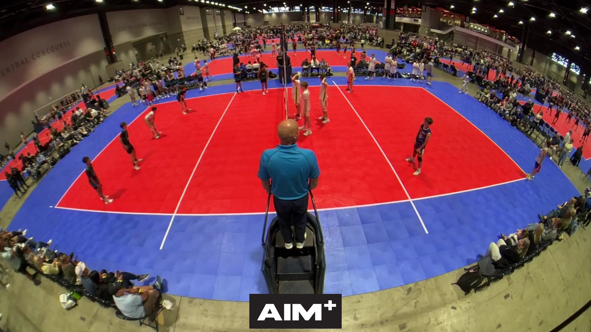 dig