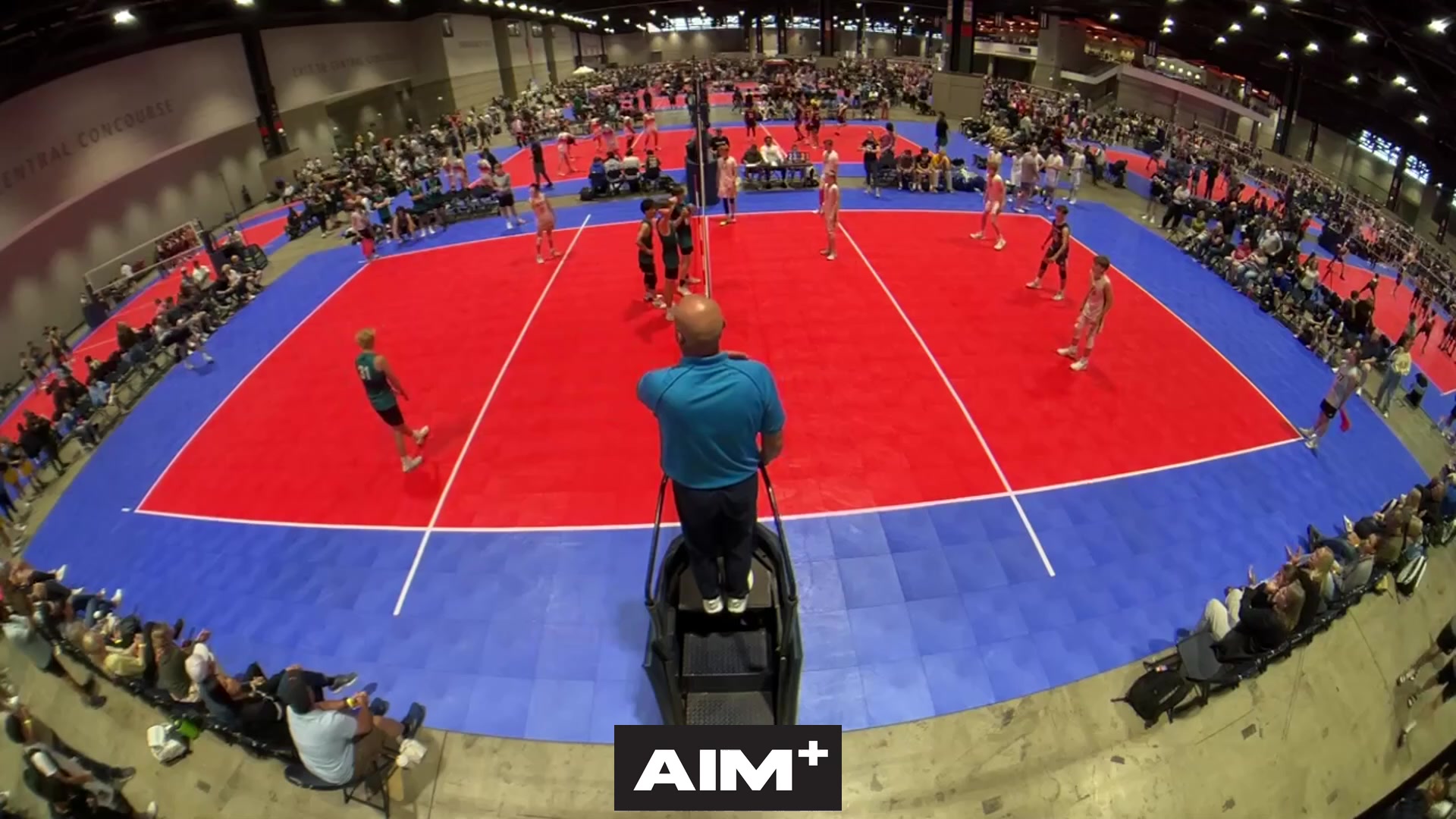 dig