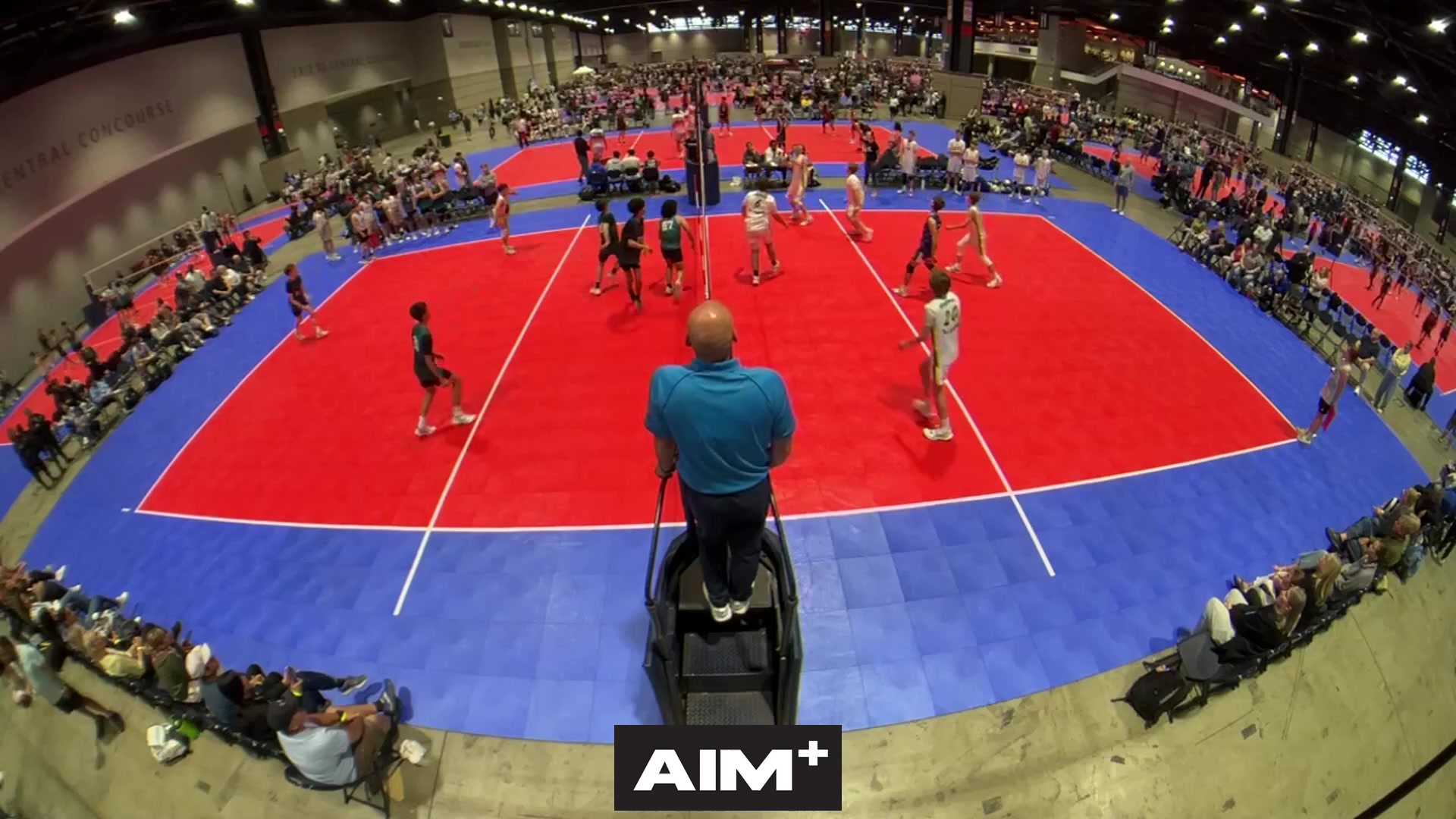 assist