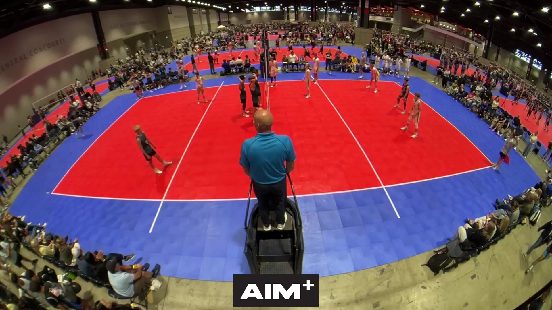 assist