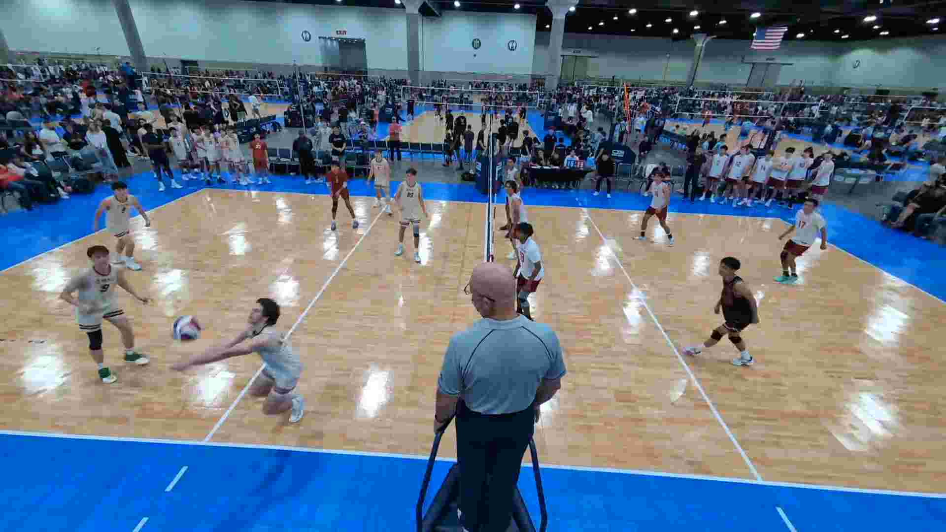 dig