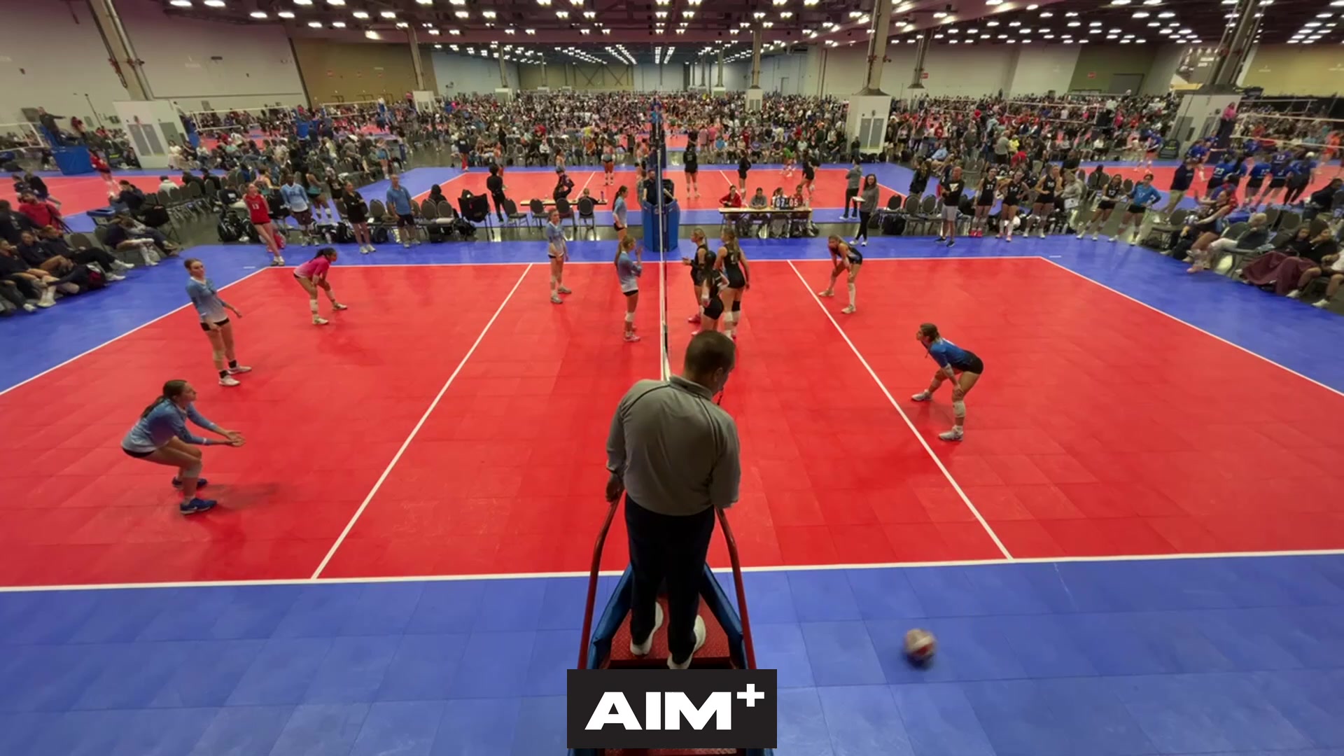 dig