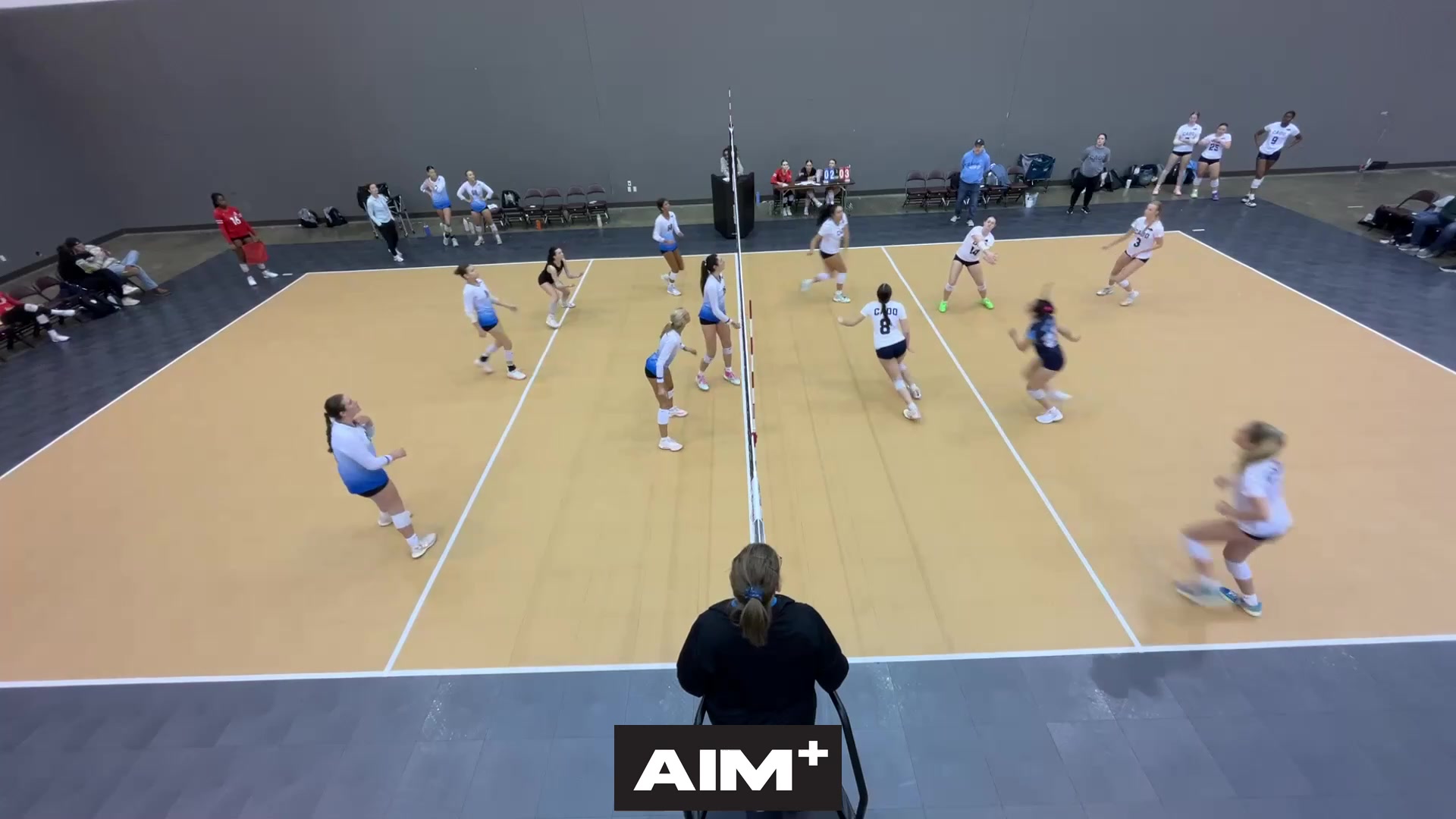 block-assist