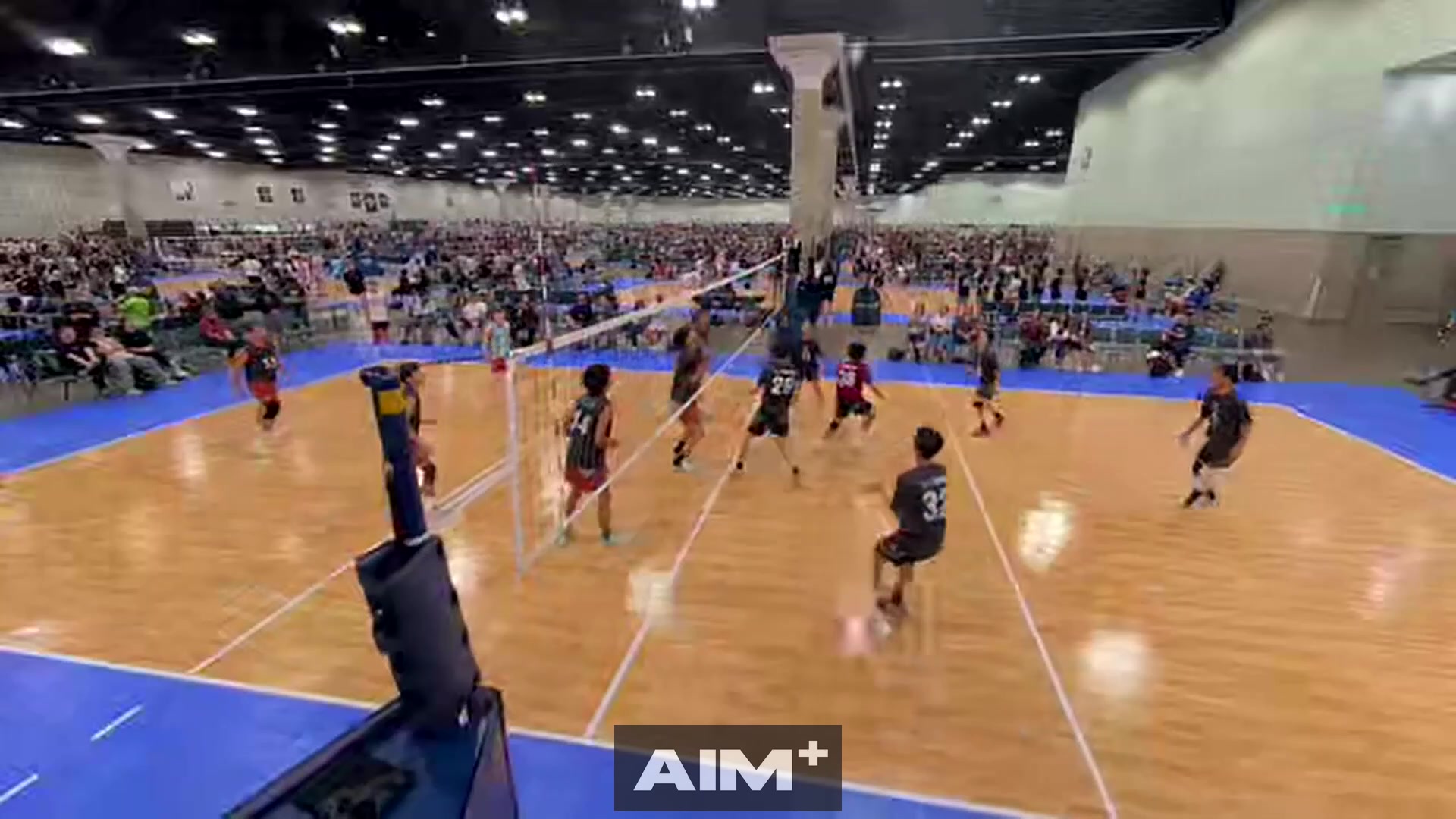 assist