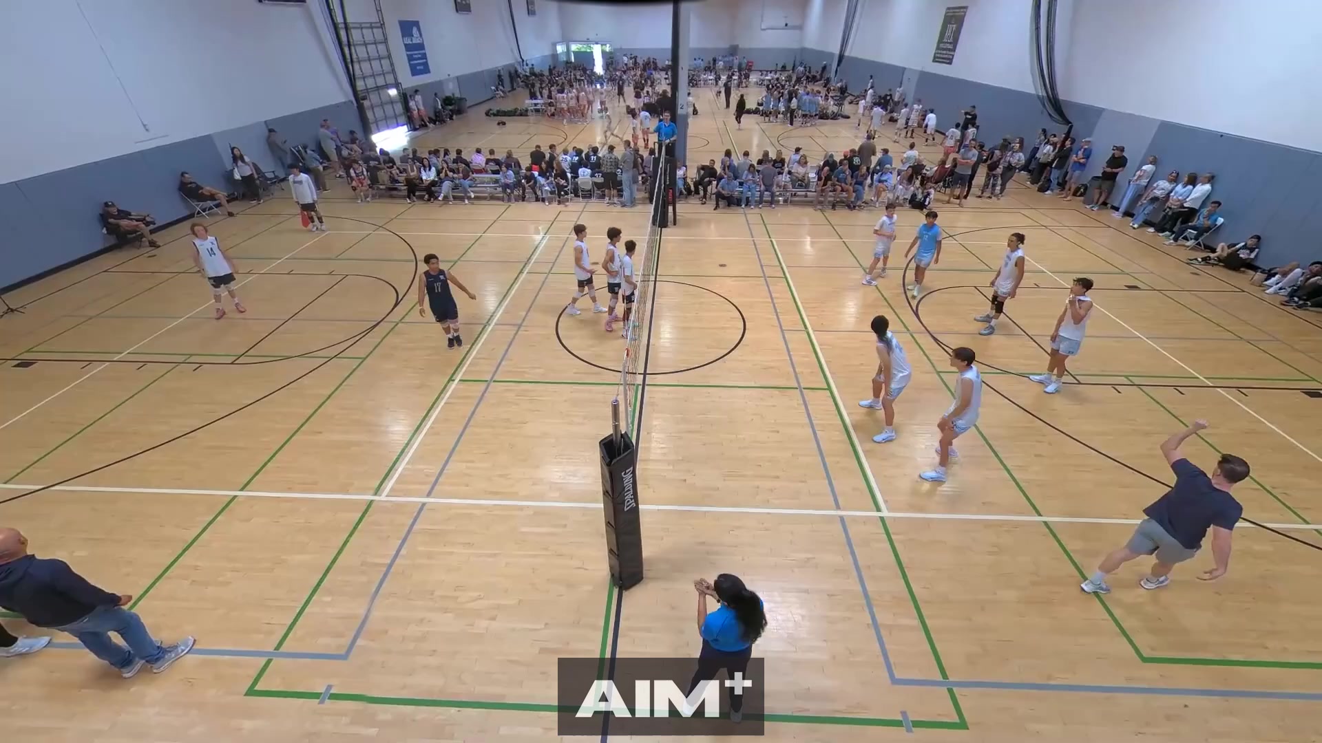 serve-ace