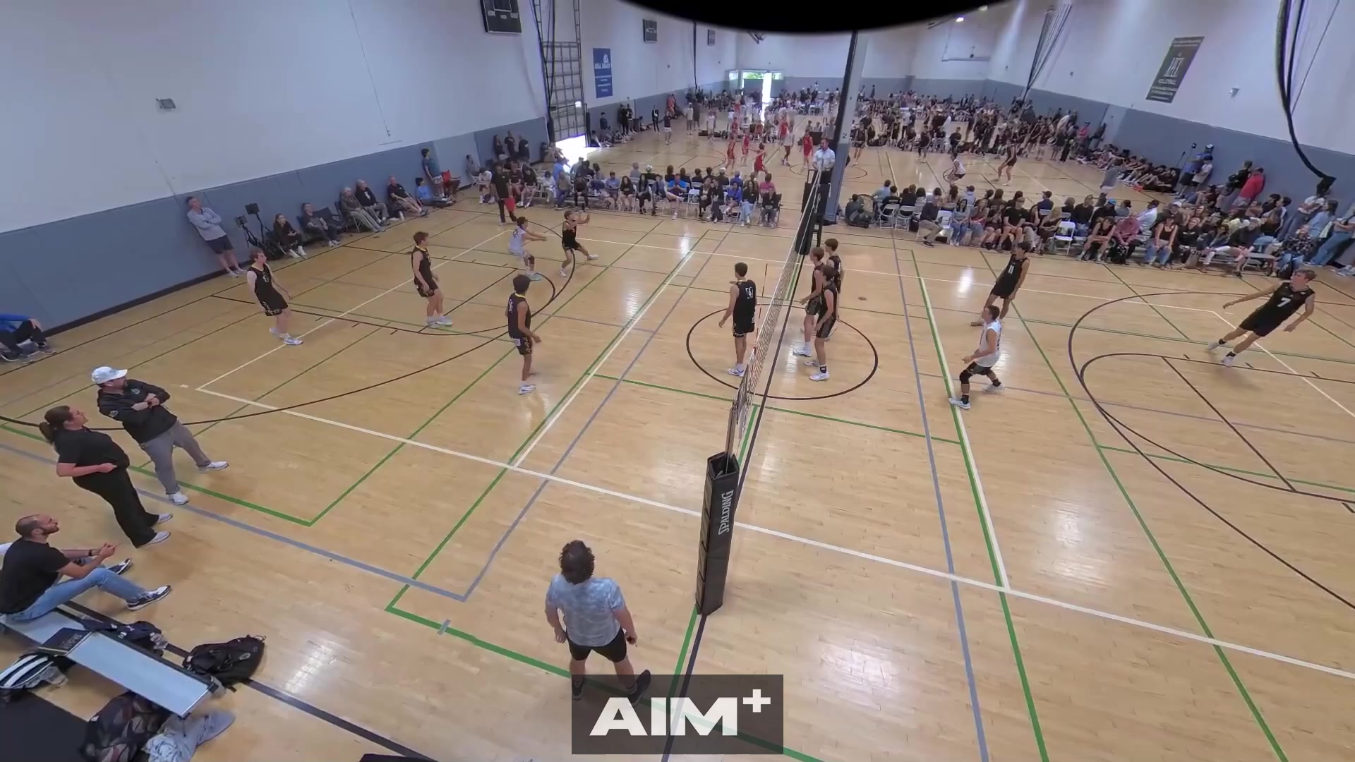 block-assist