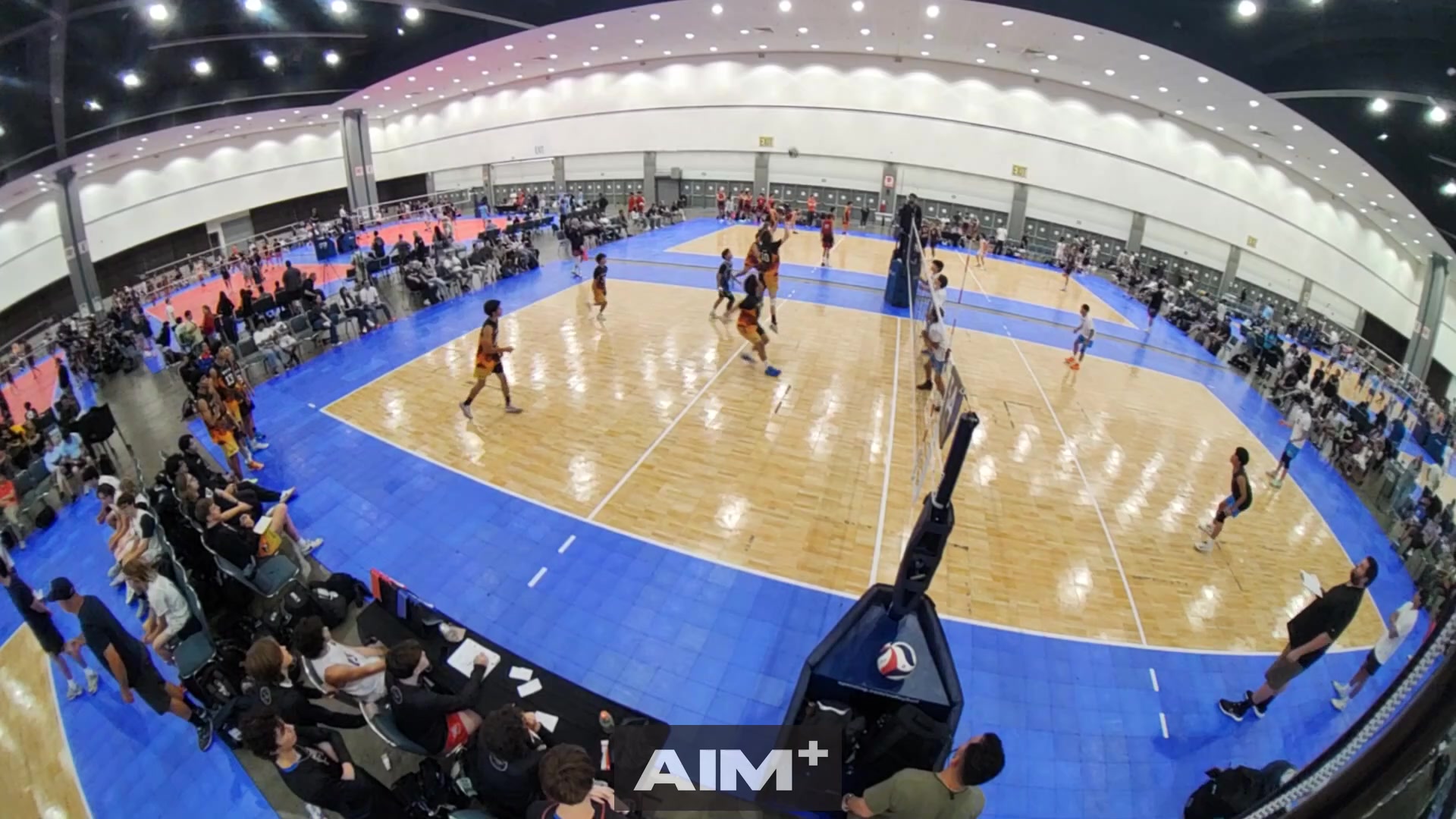 assist
