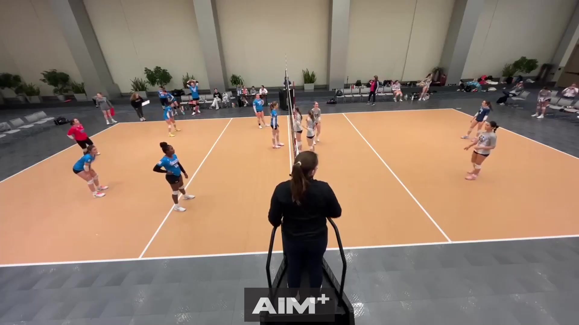 assist