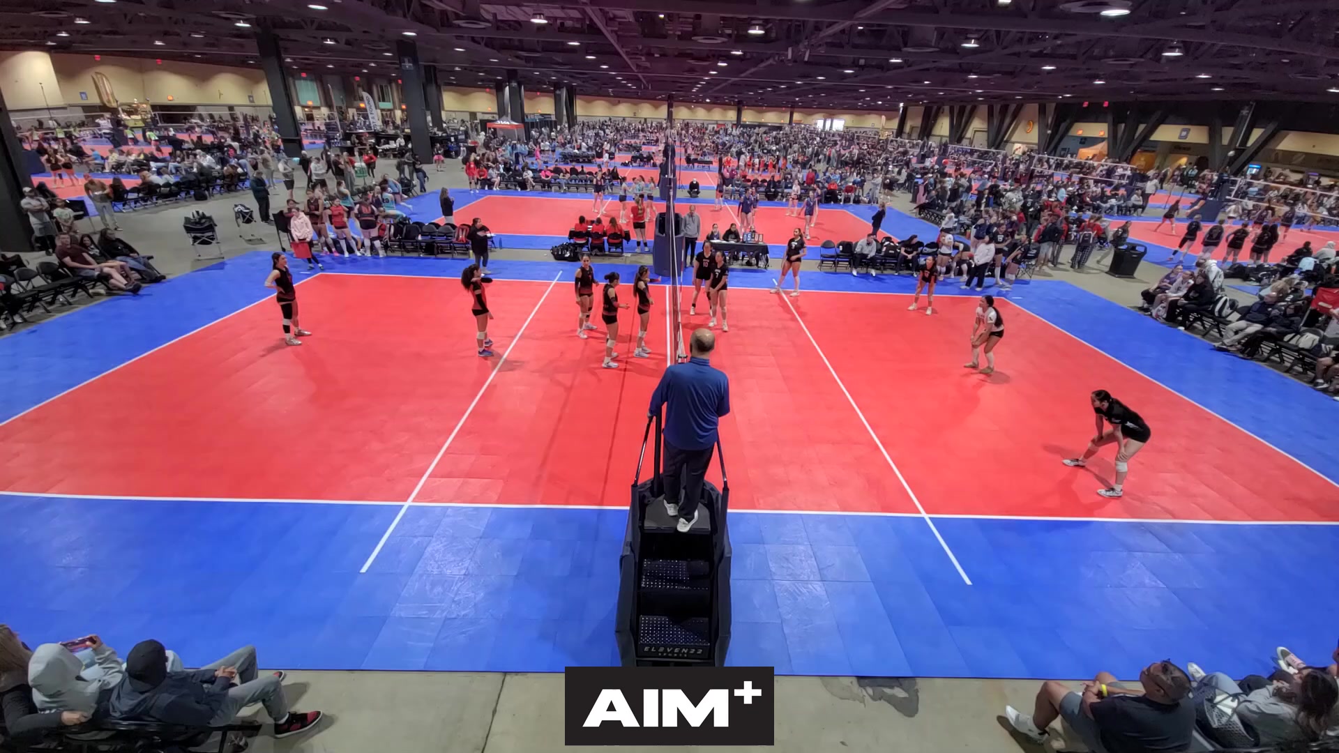 dig