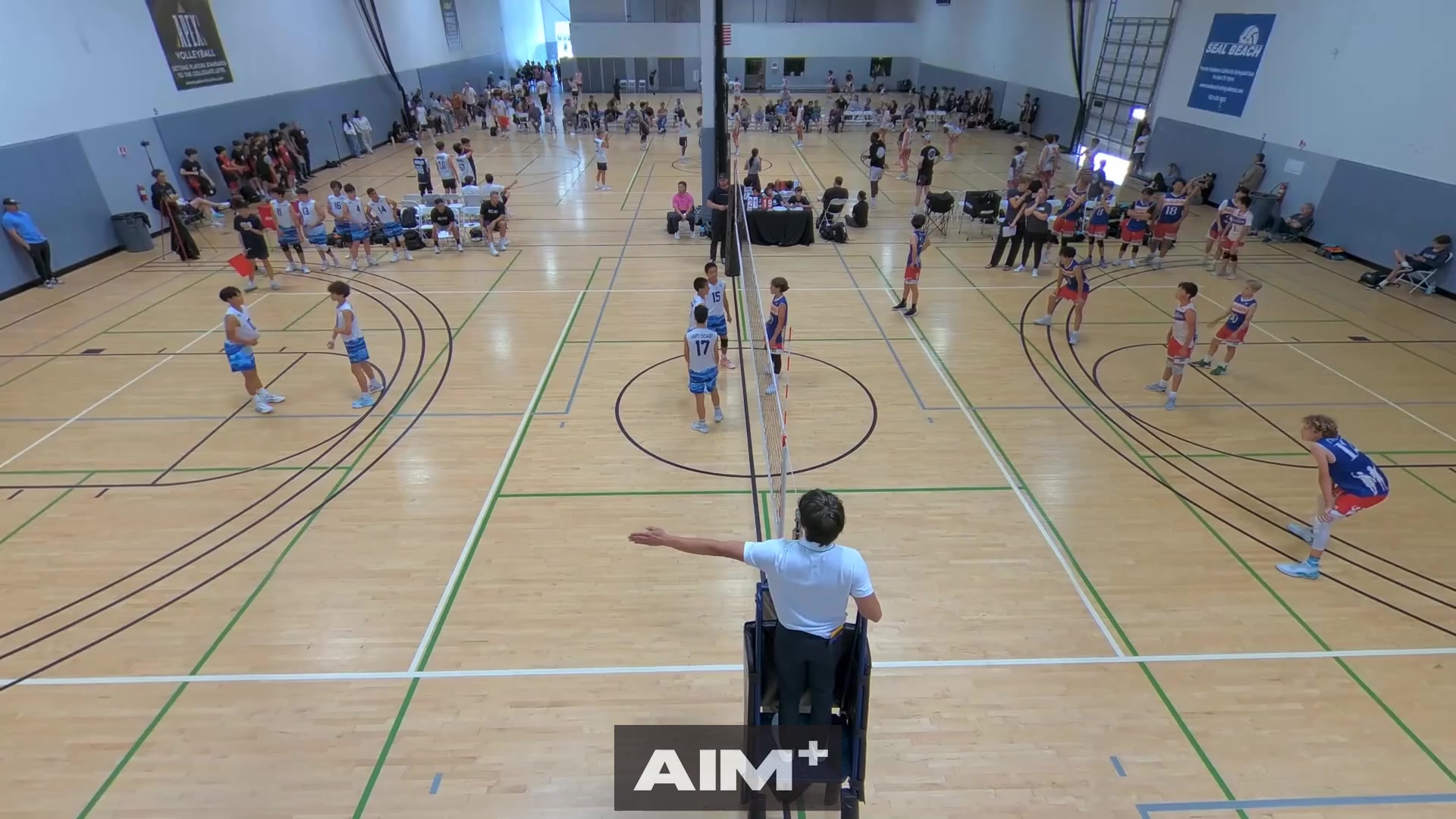 serve-ace