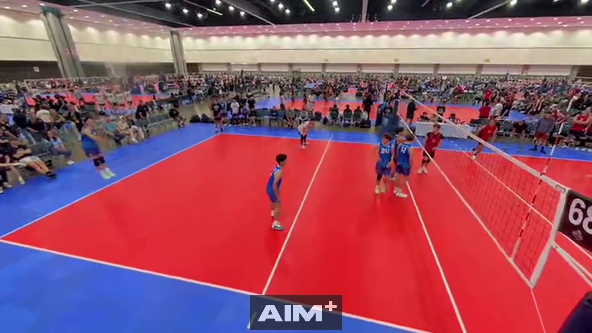 assist