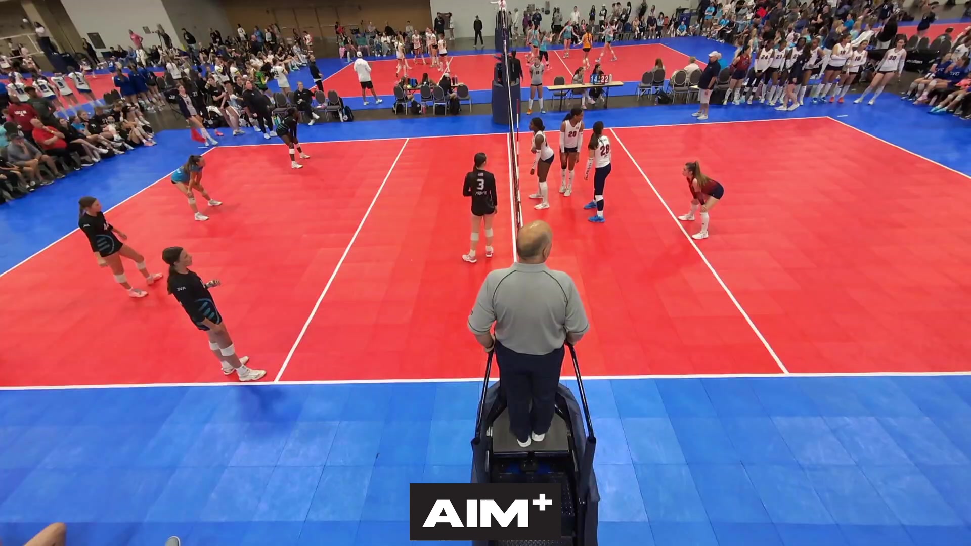 dig