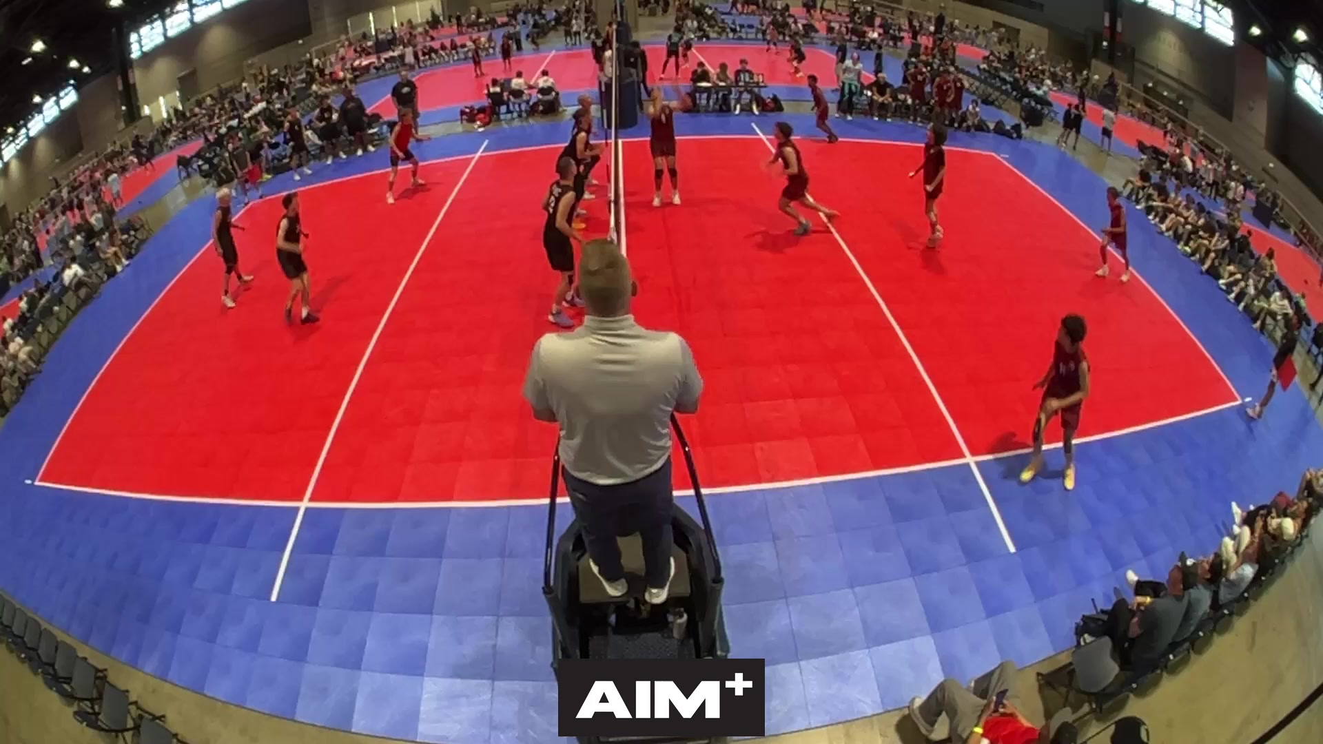 assist