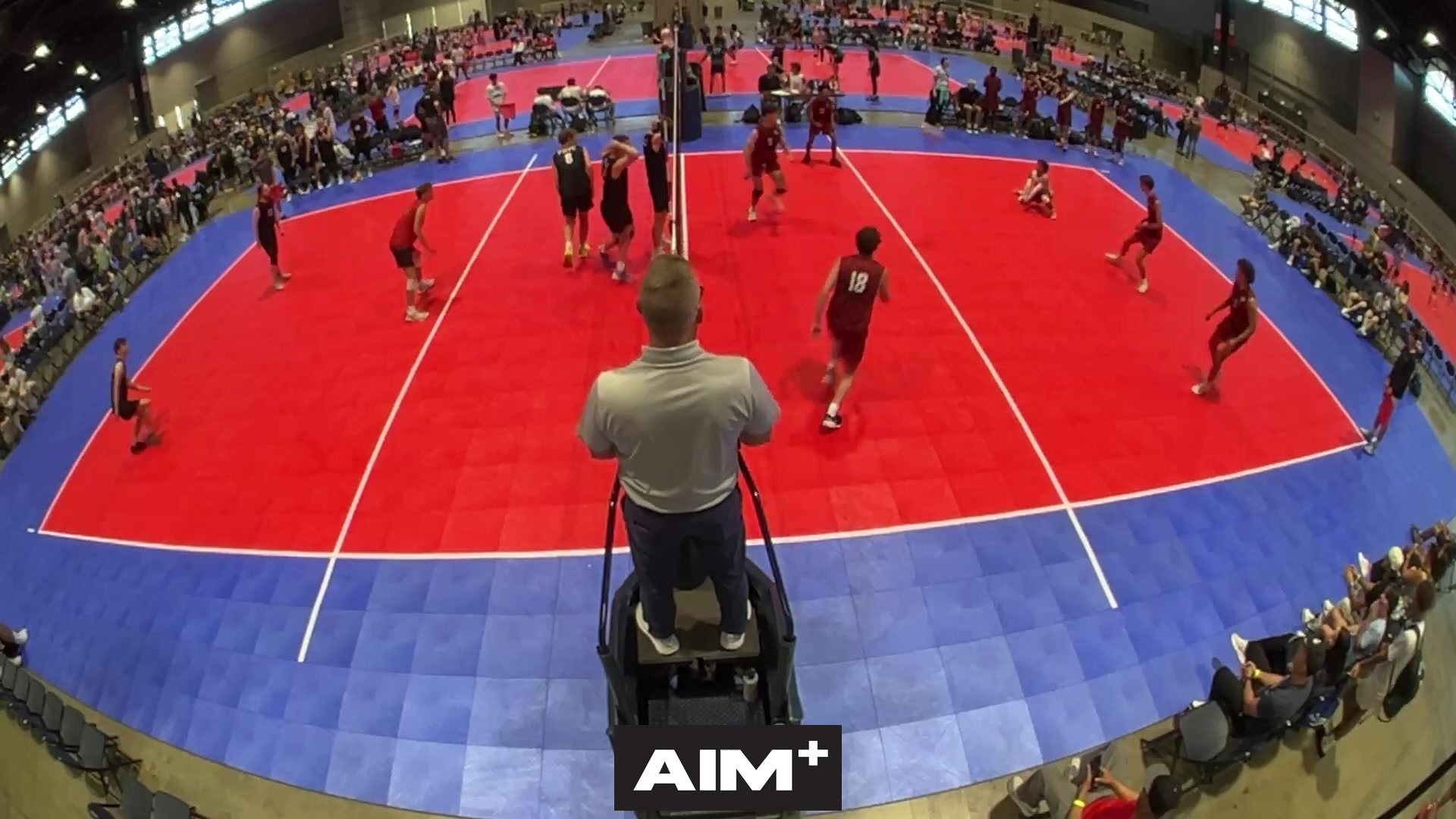 assist