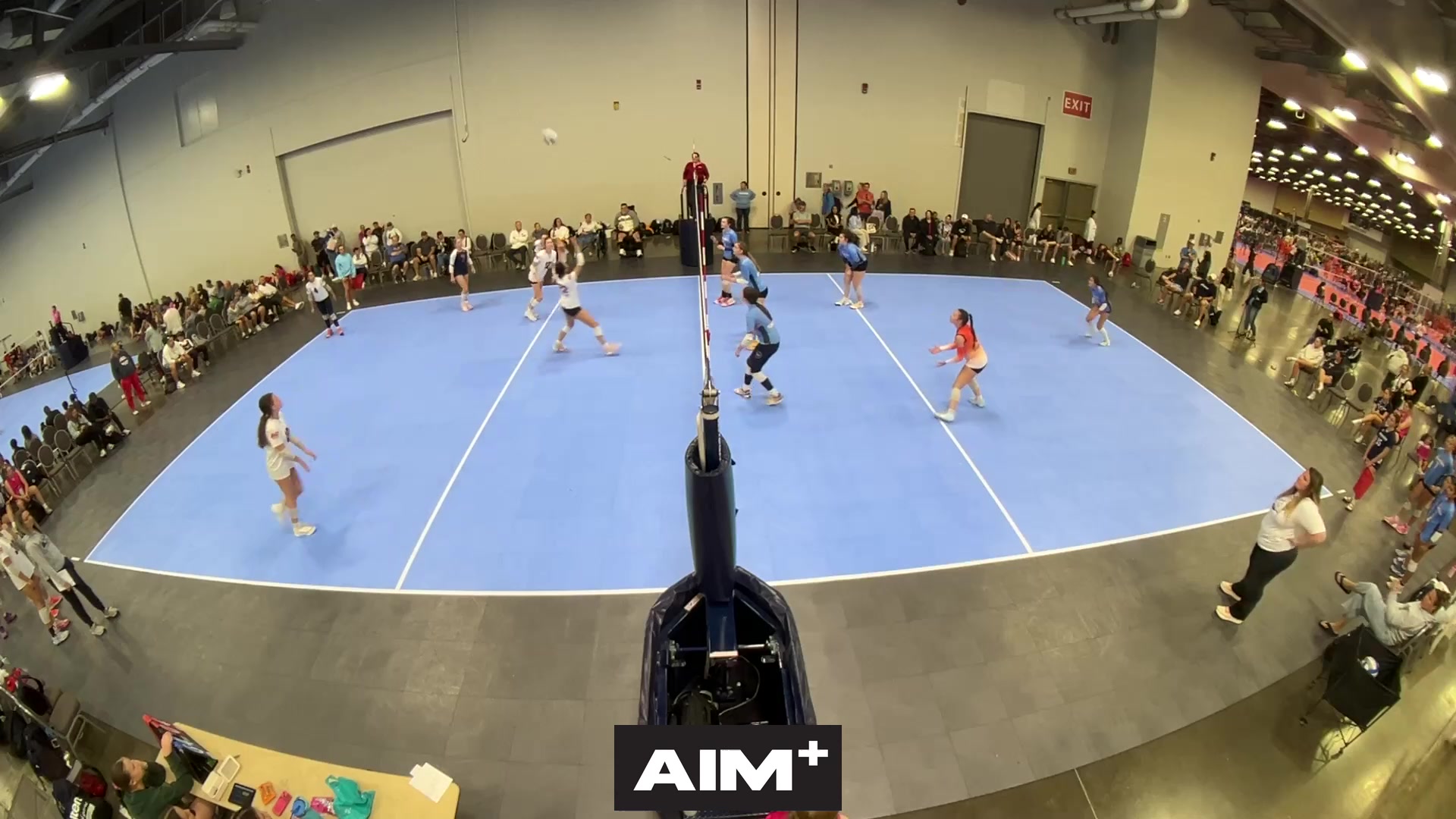 assist