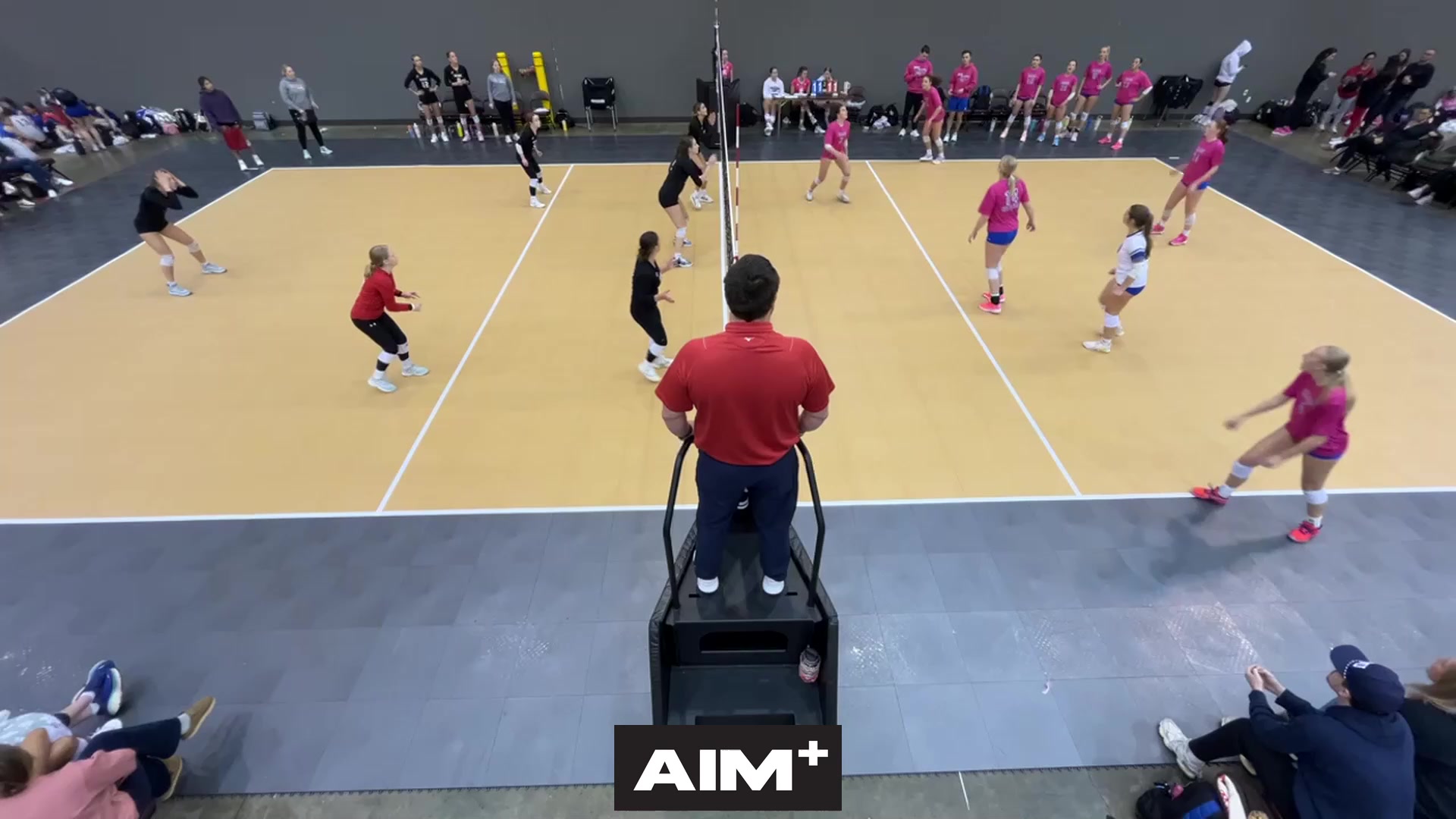 dig