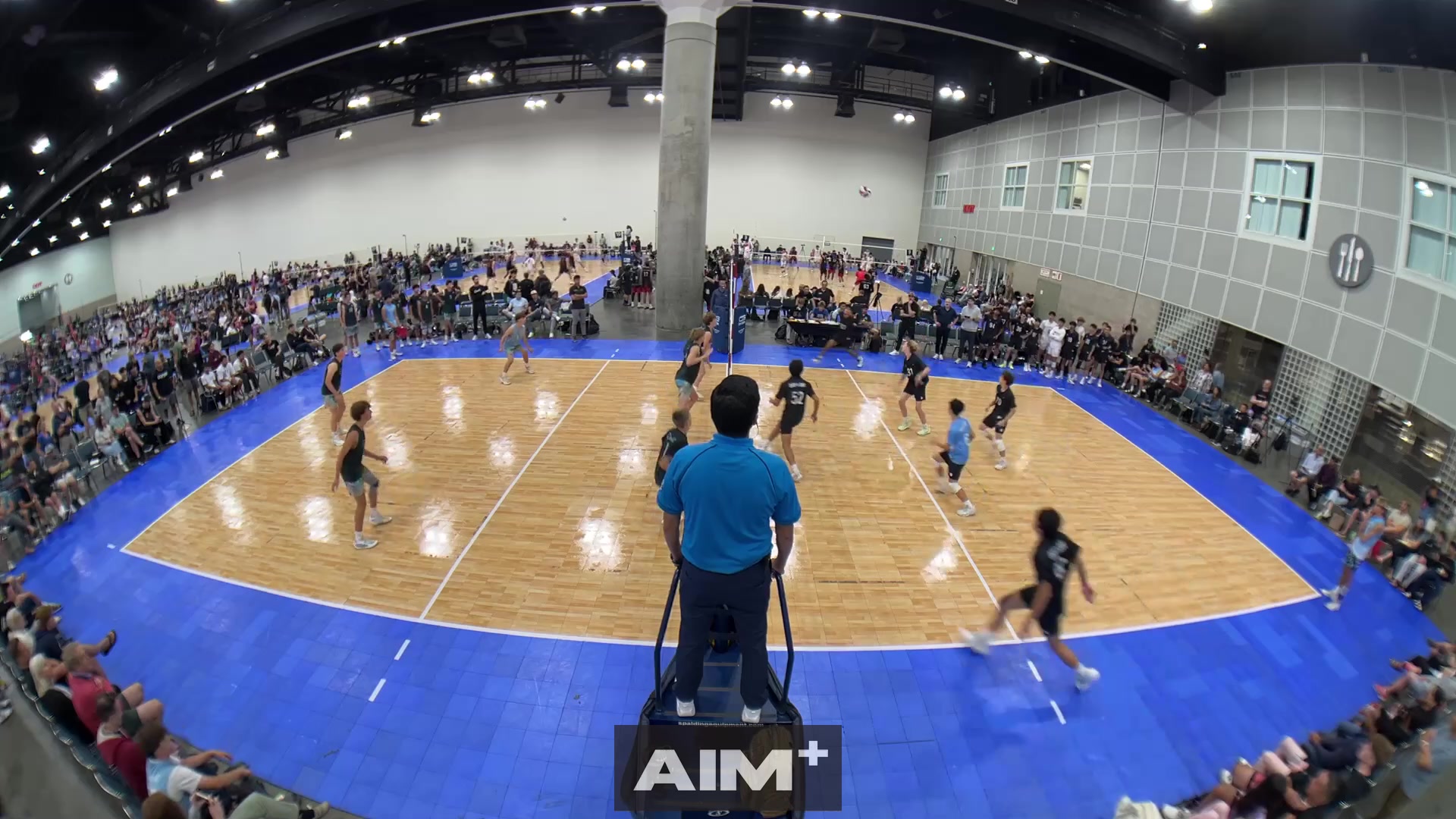 assist