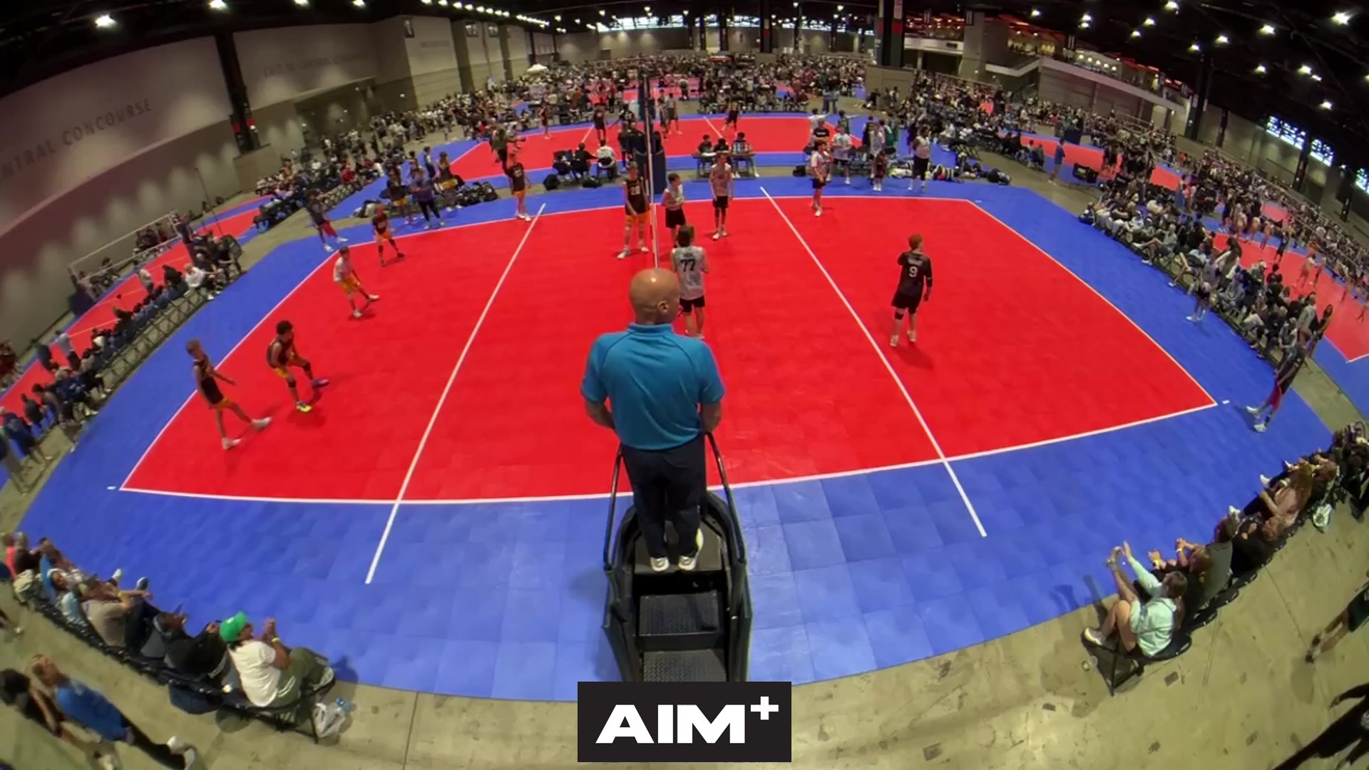 dig