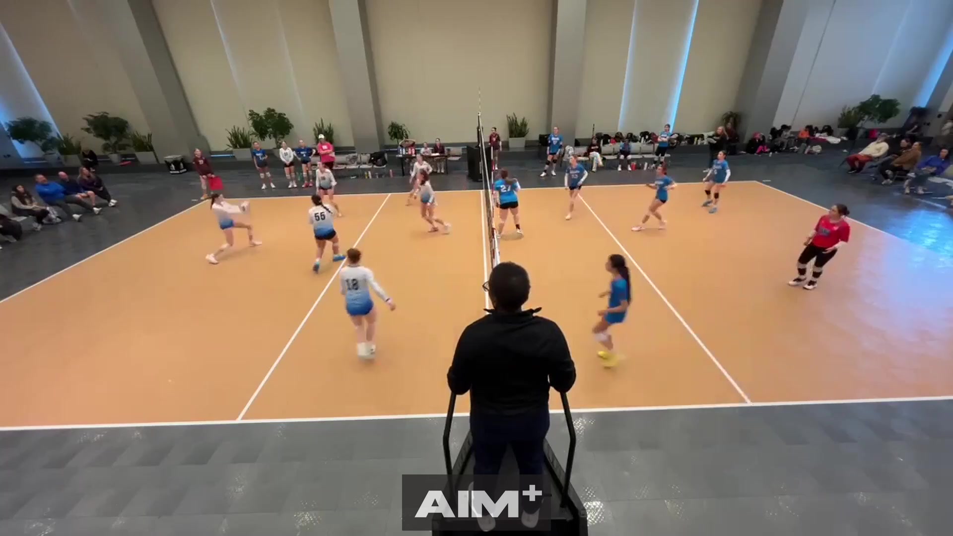 assist