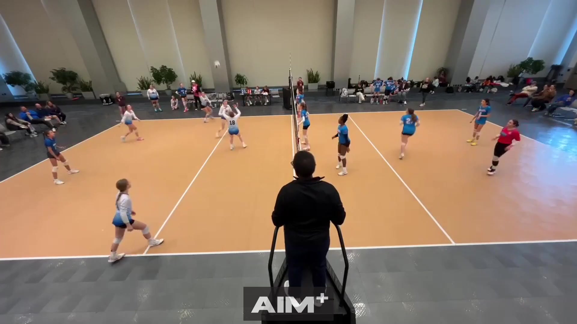 assist