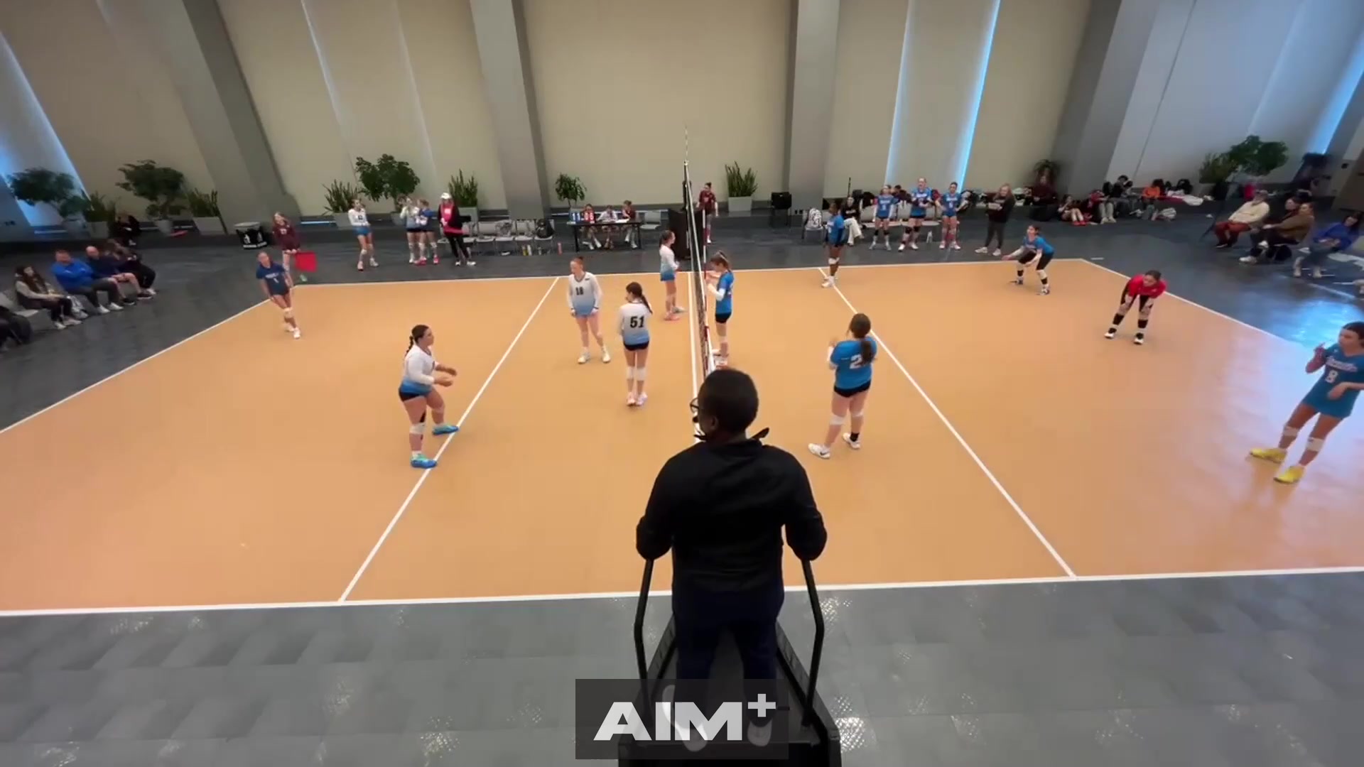 assist