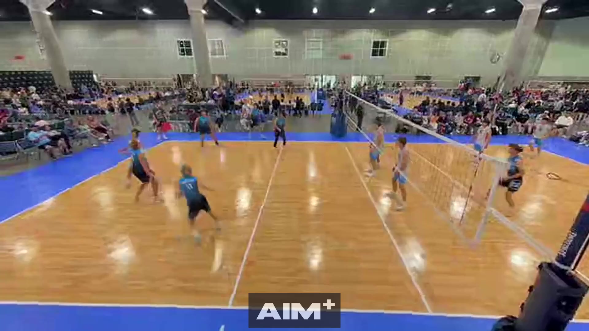 assist