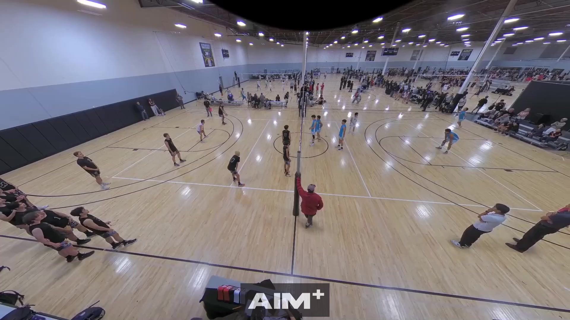 assist