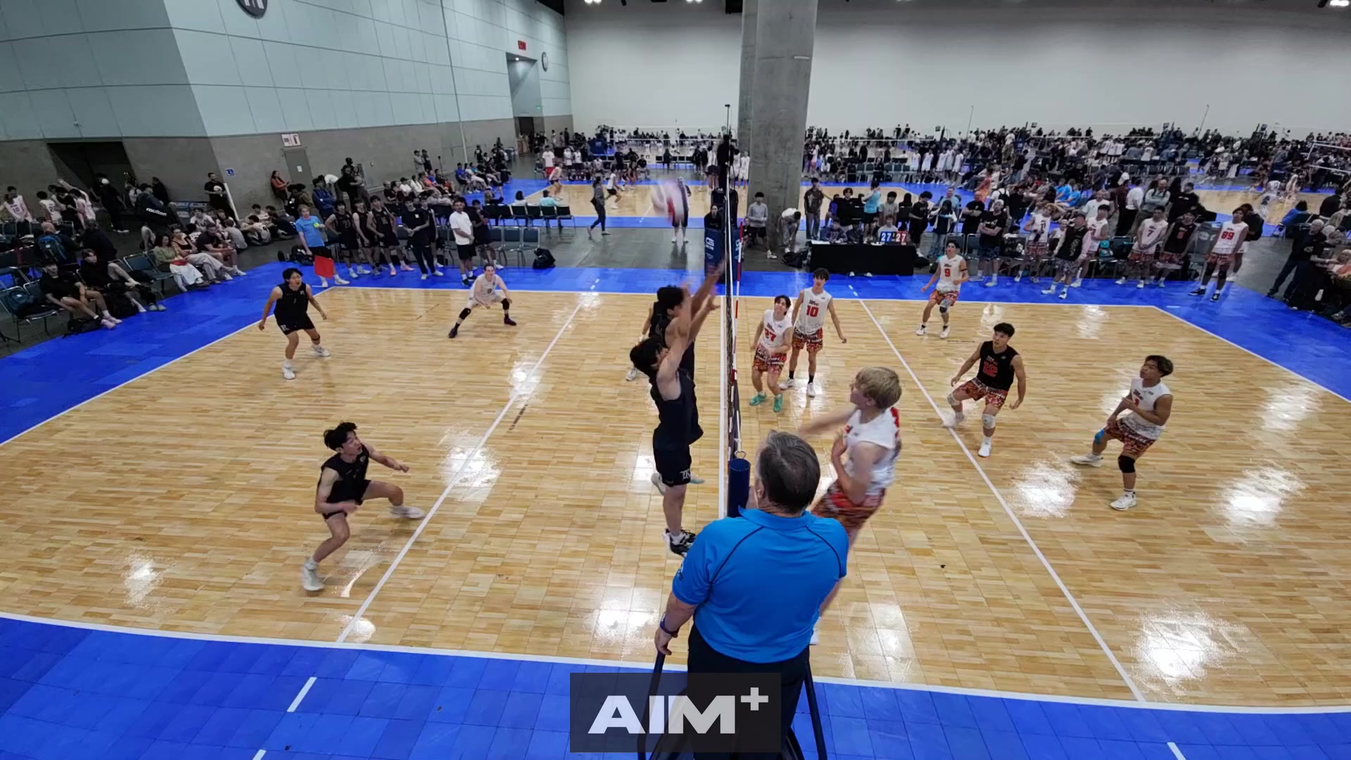 dig