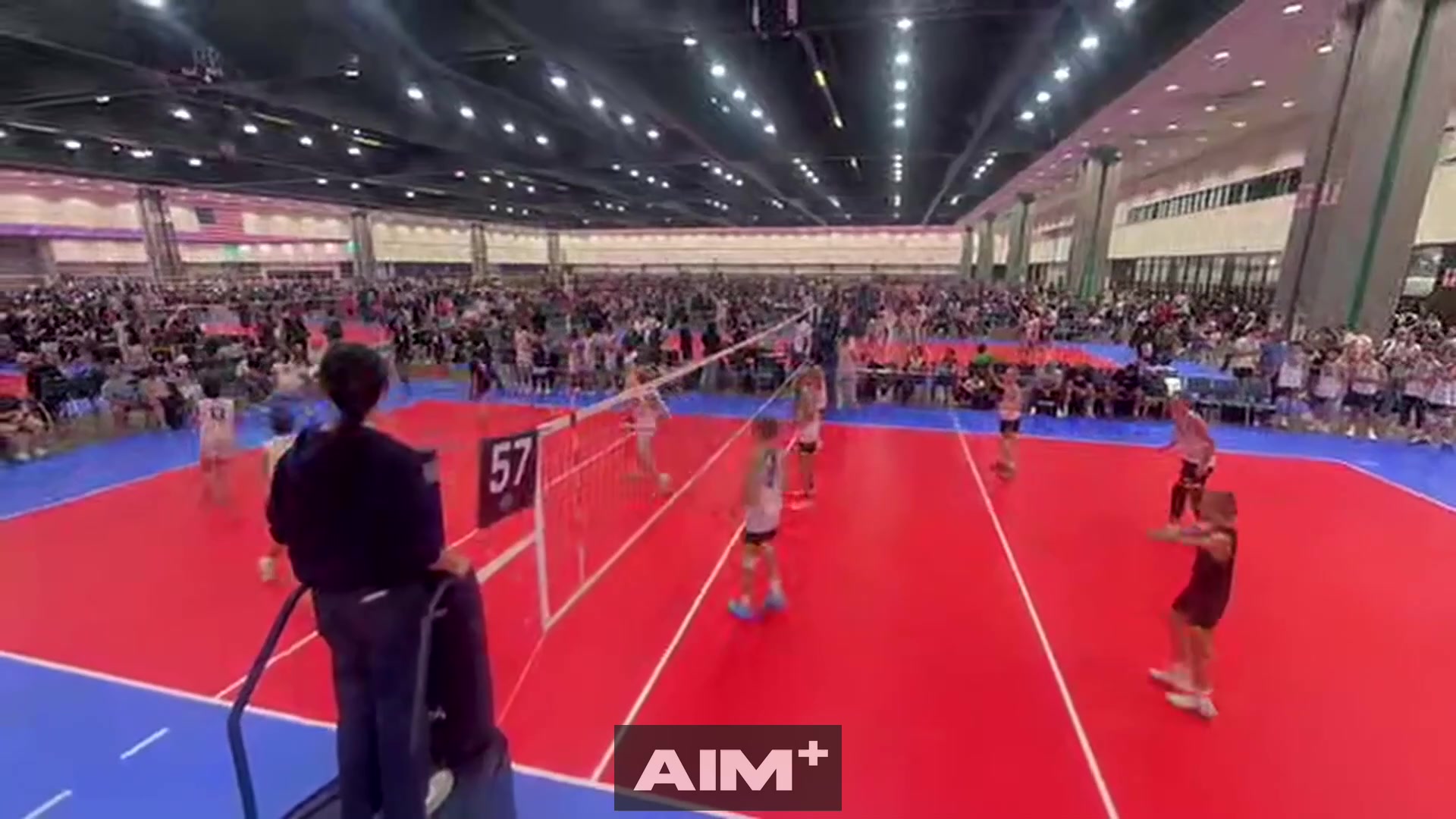 assist