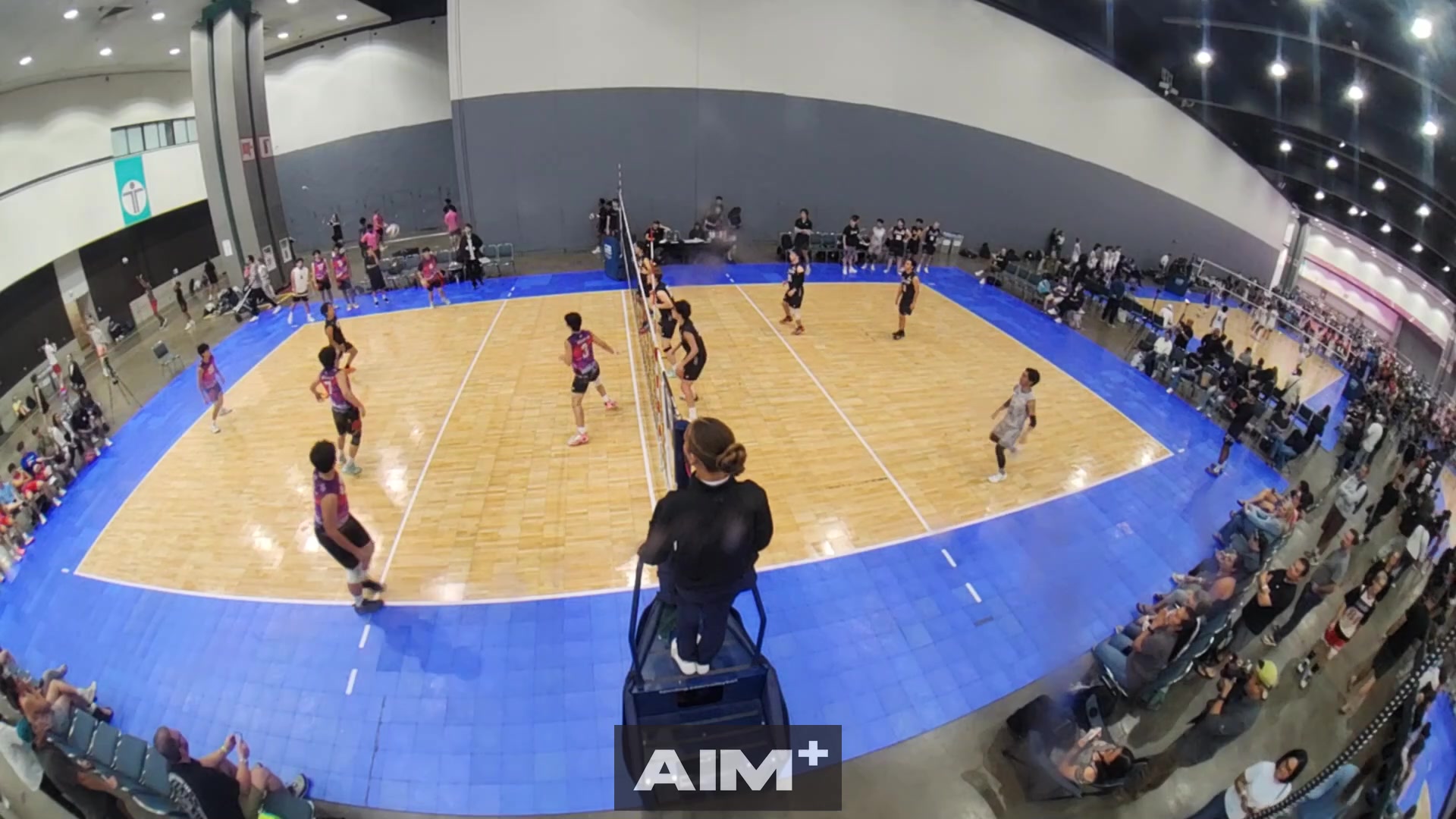 block-assist