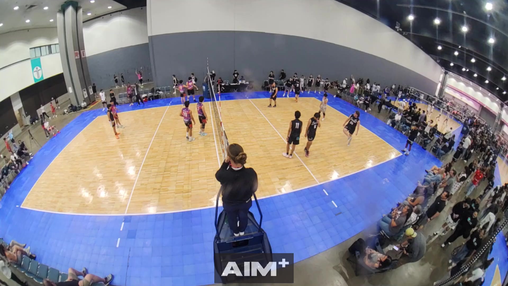 serve-ace