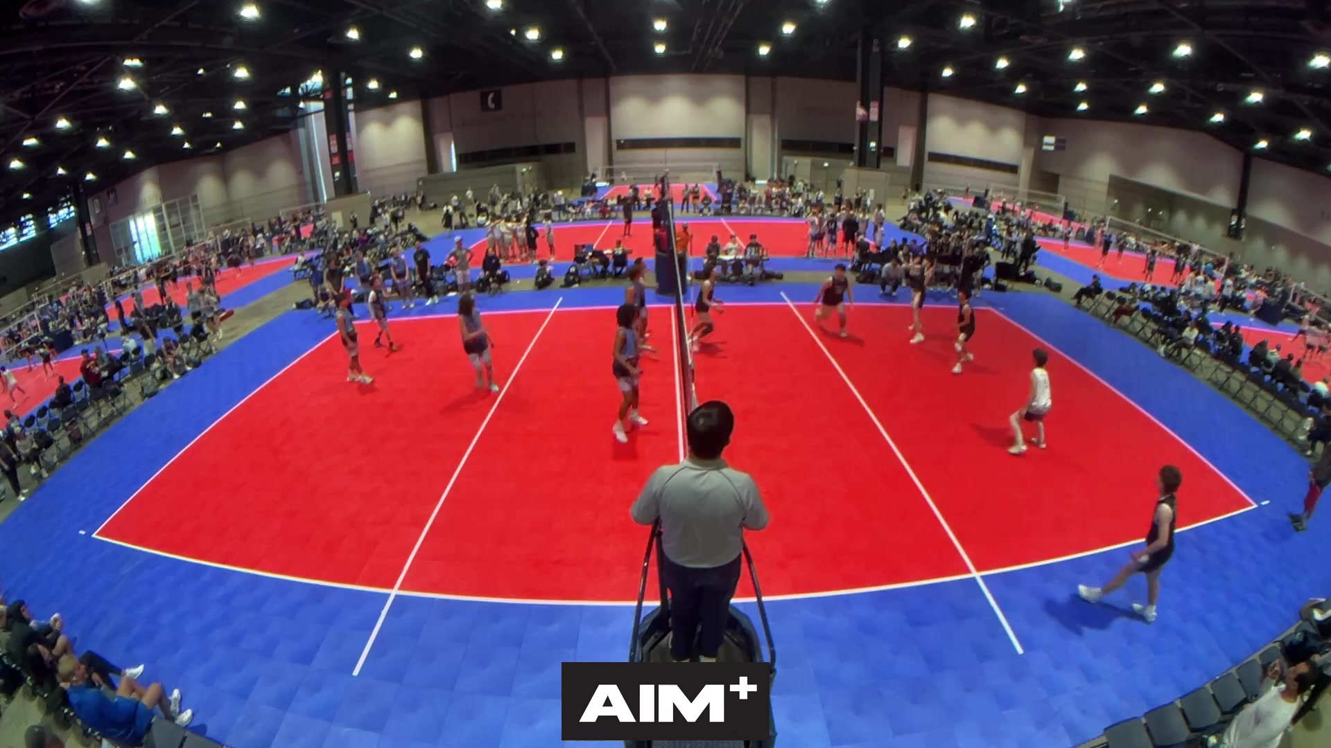dig