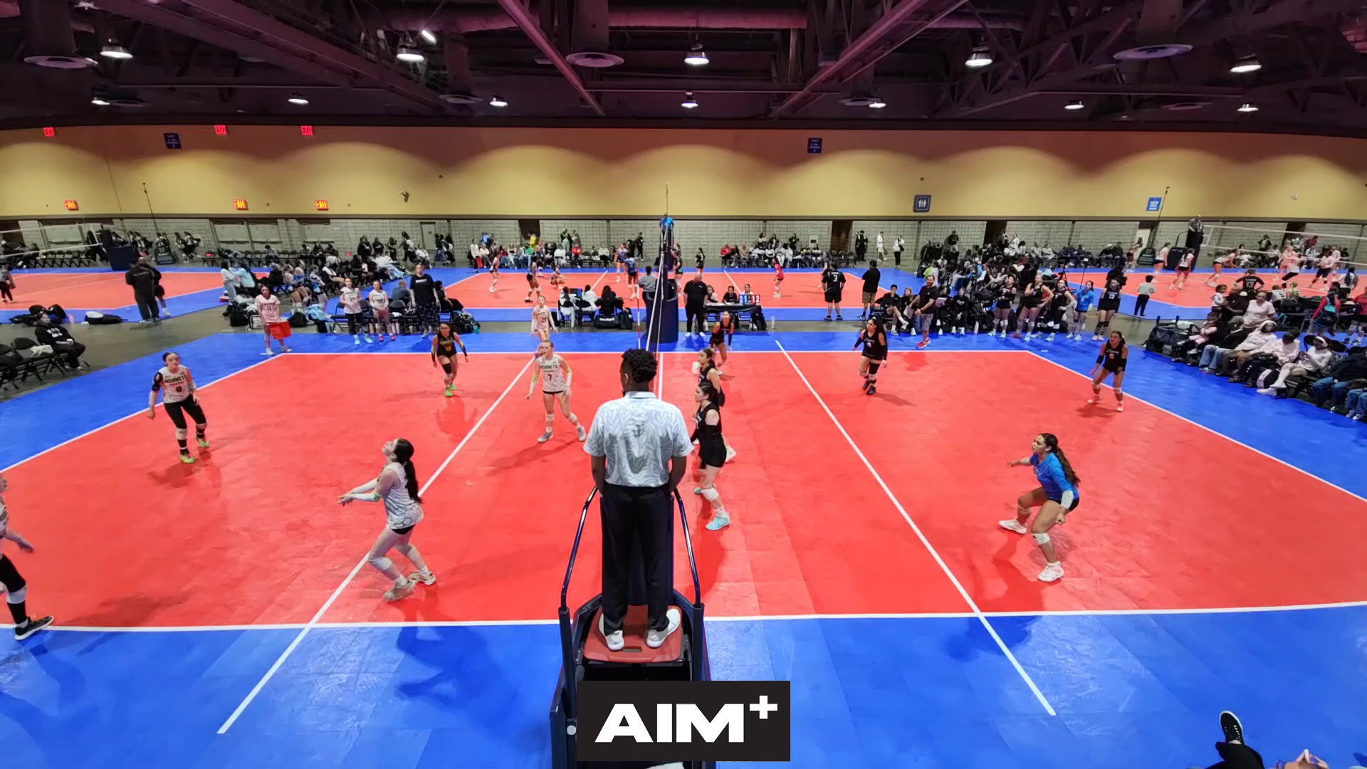 dig