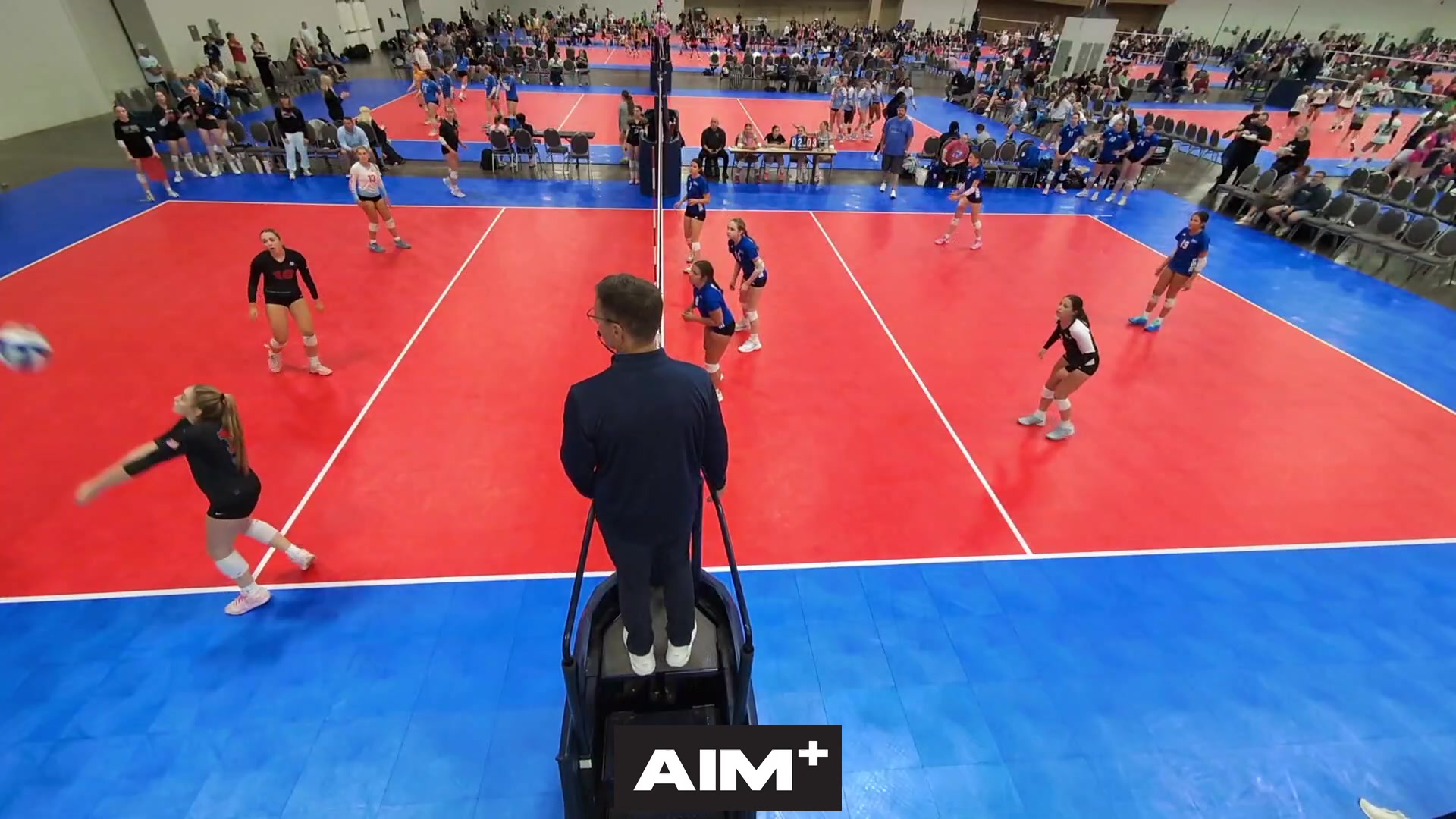 dig