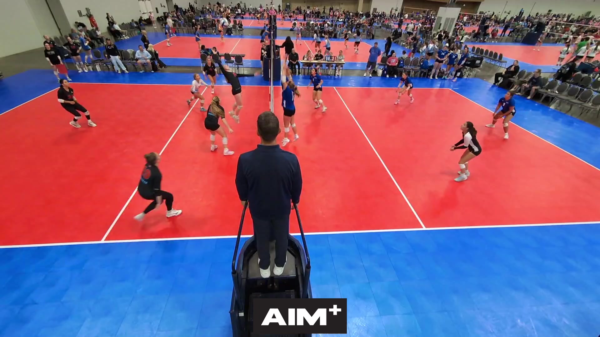 dig