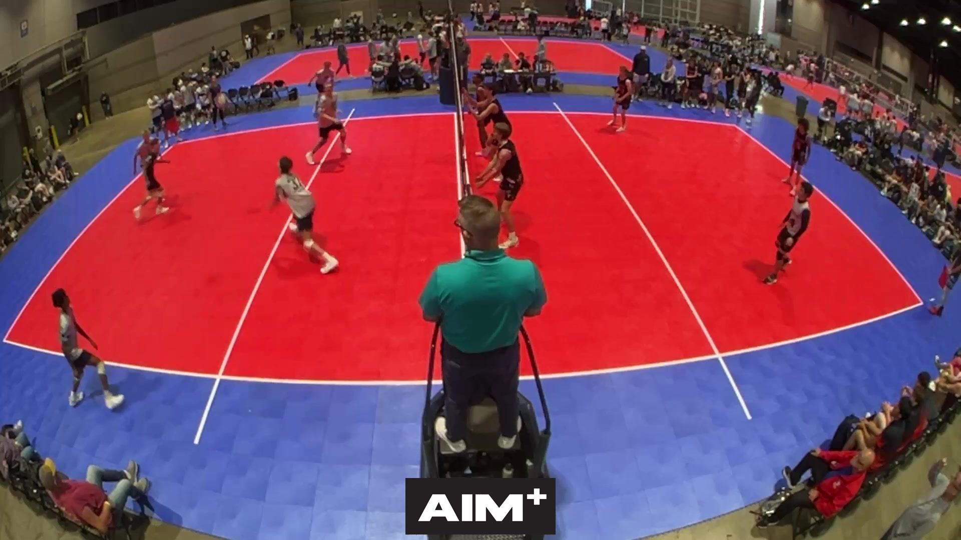 dig
