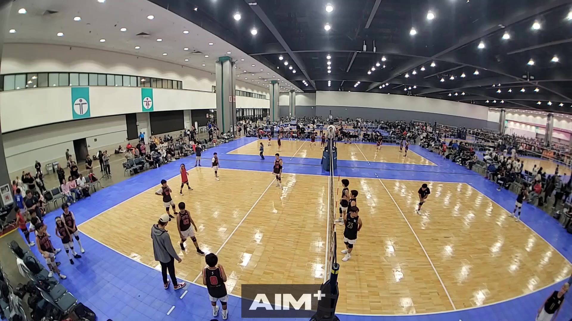 serve-ace