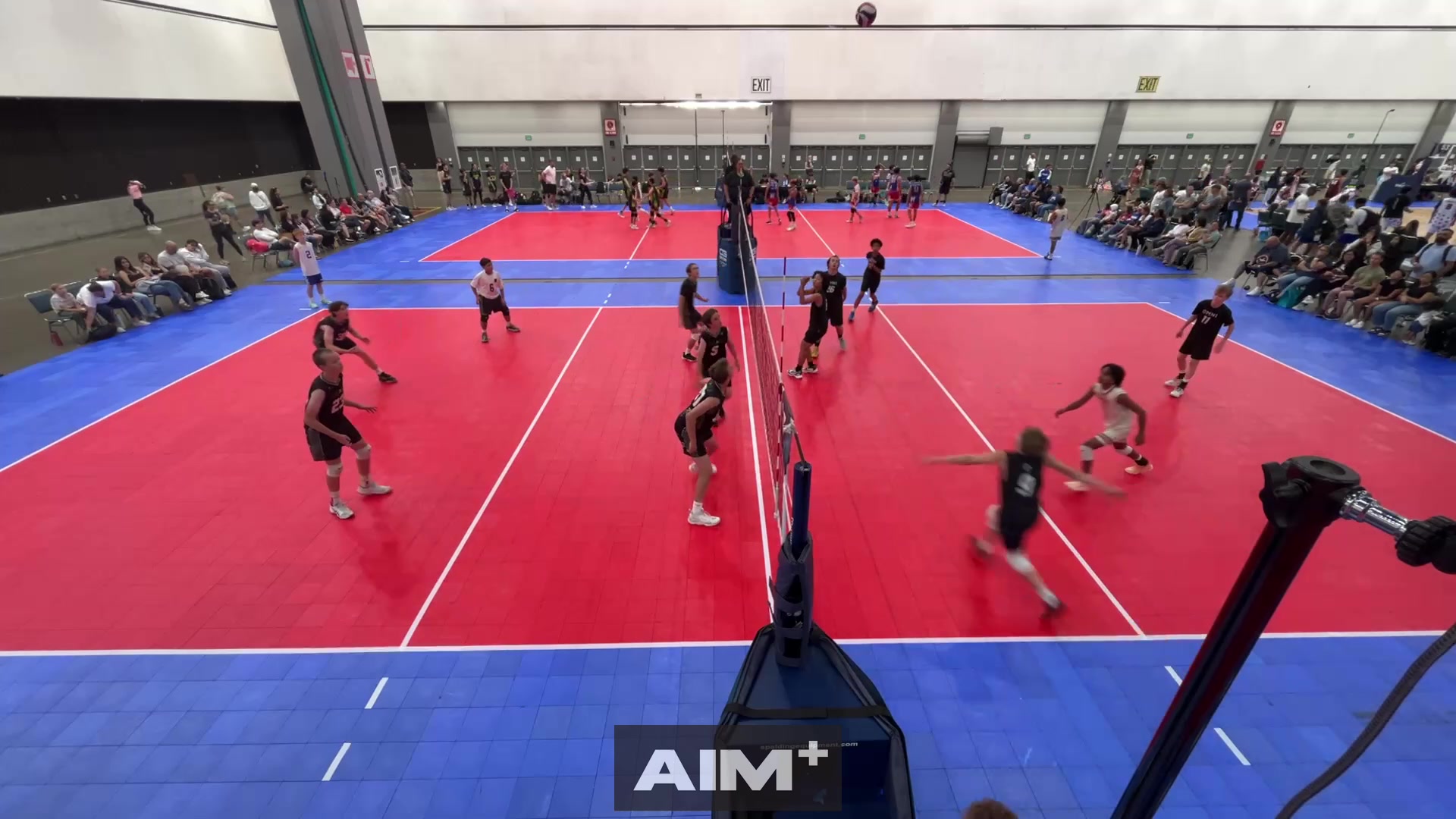 dig