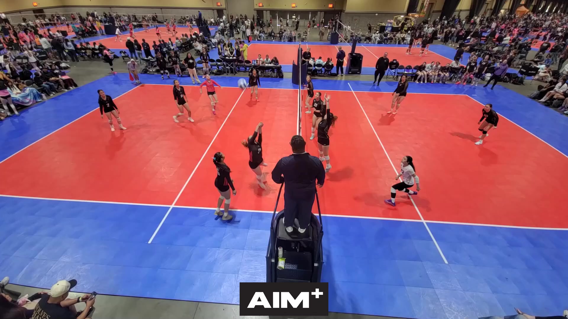dig