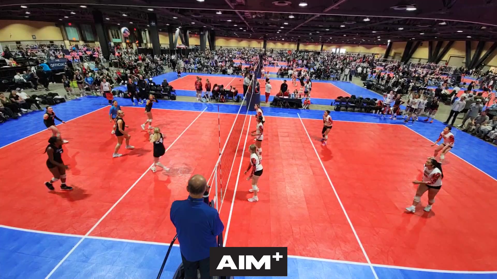 dig