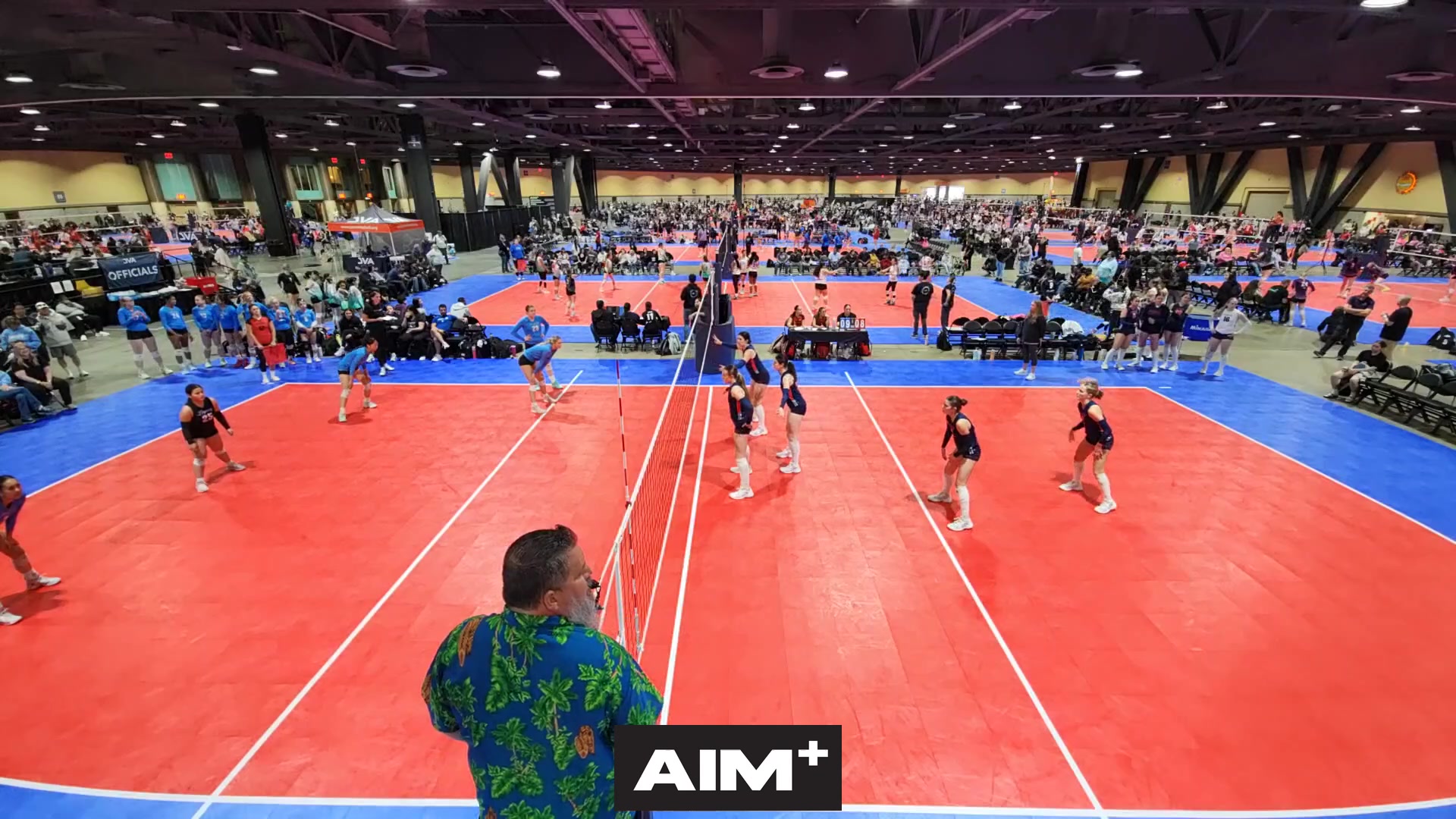 dig