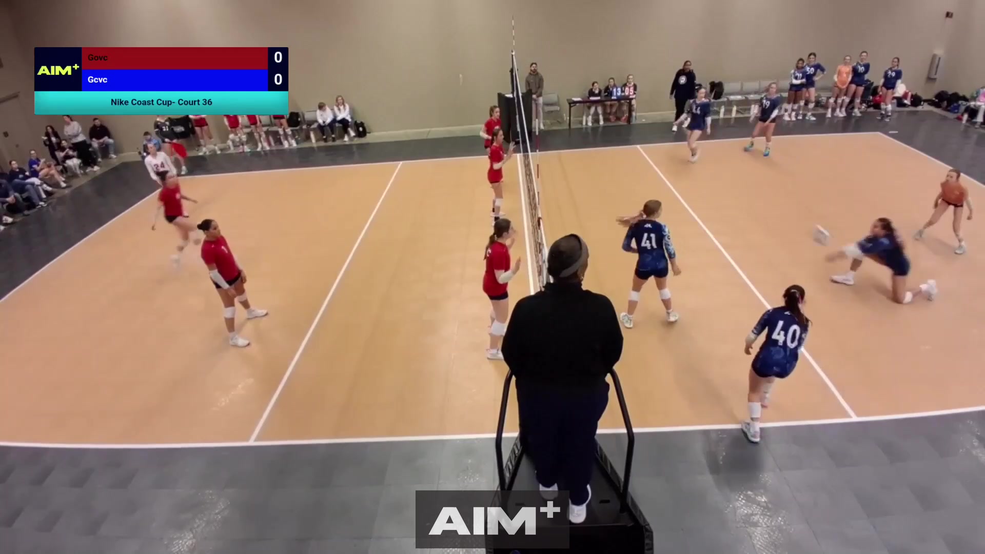 assist
